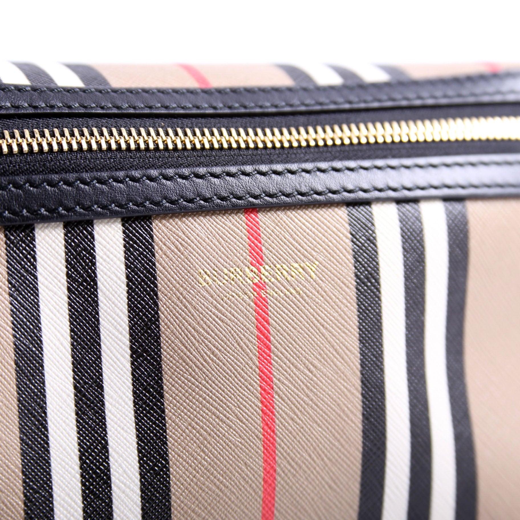 8026838 Icon E-Canvas Striped Belt Bag