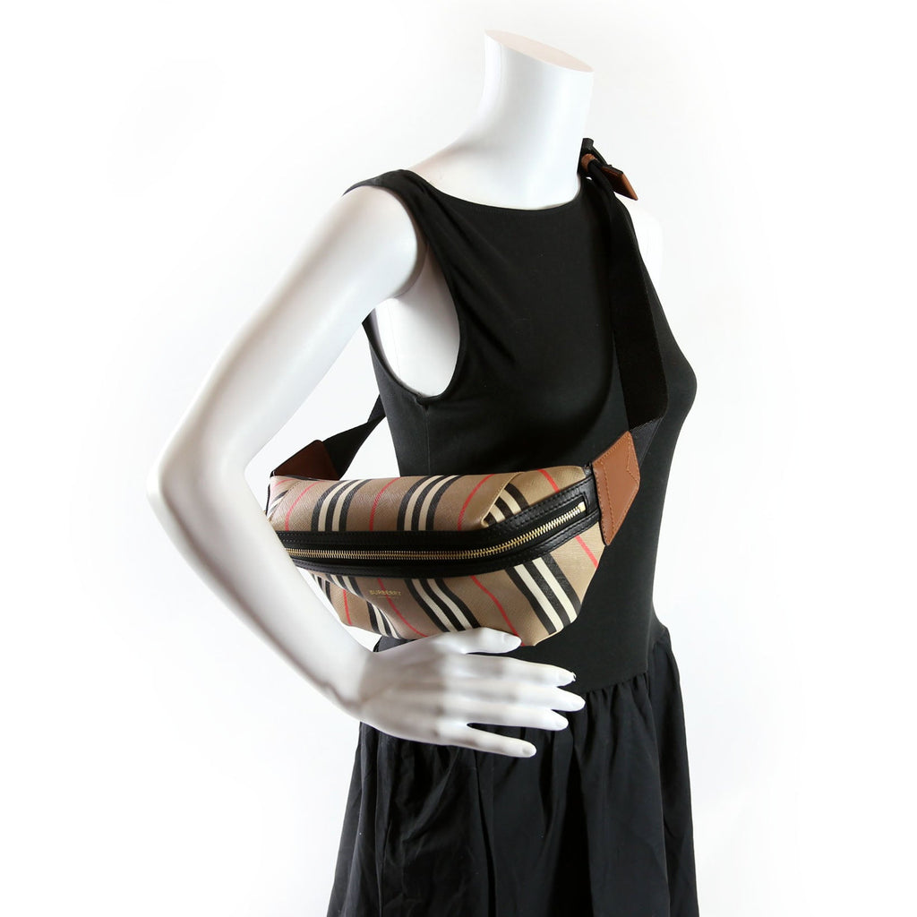 8026838 Icon E-Canvas Striped Belt Bag