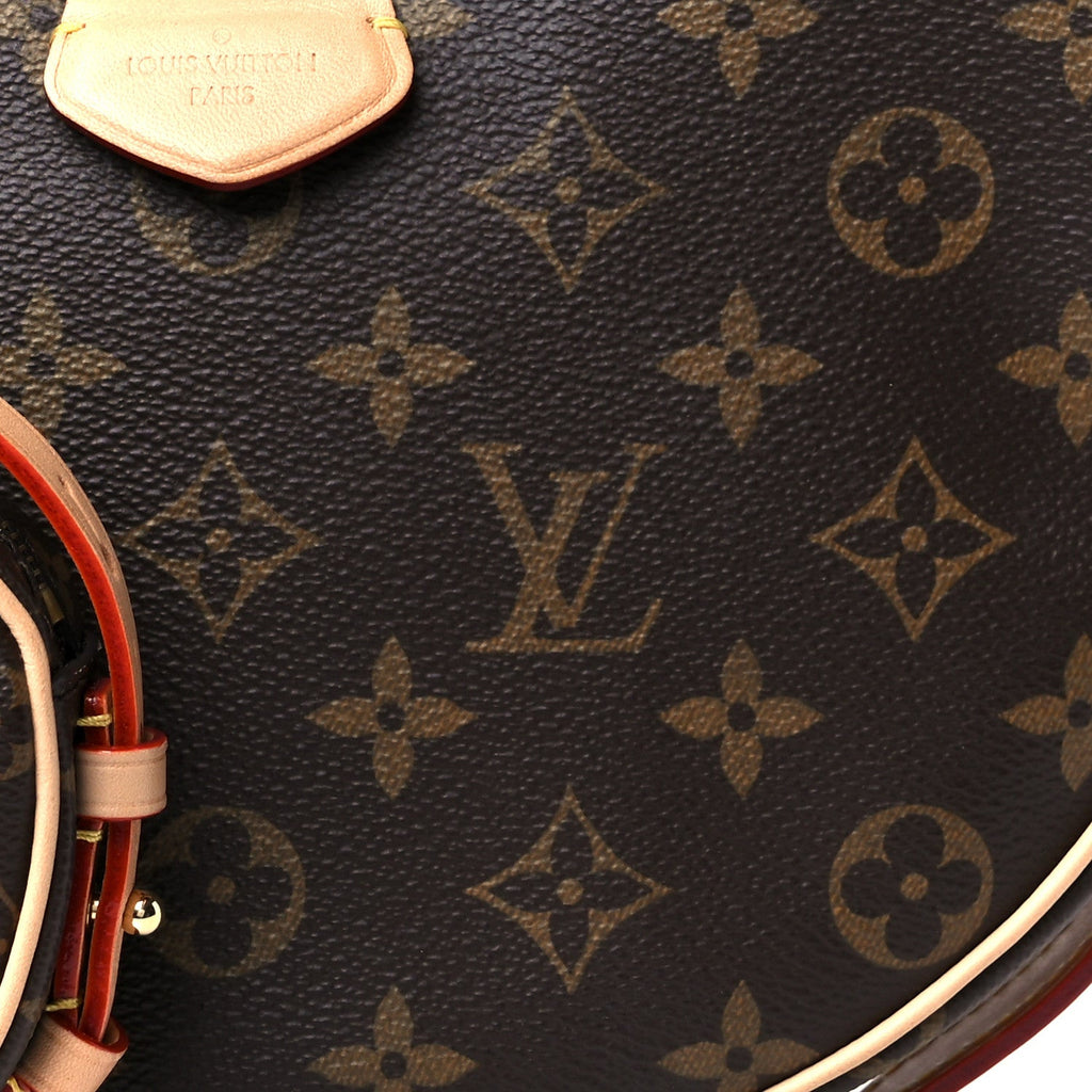 Louis Vuitton Monogram Croissant MM NM