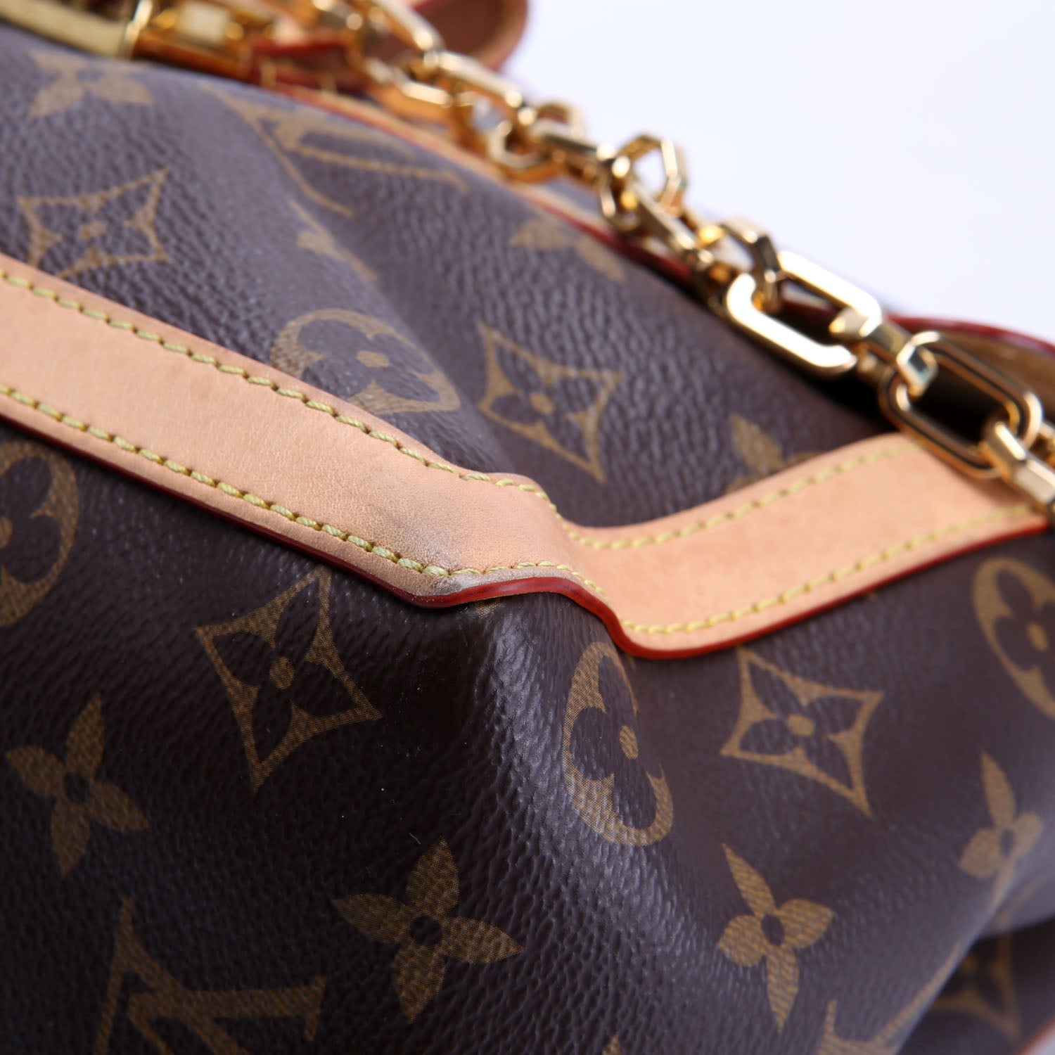 Dauphine Soft GM Monogram
