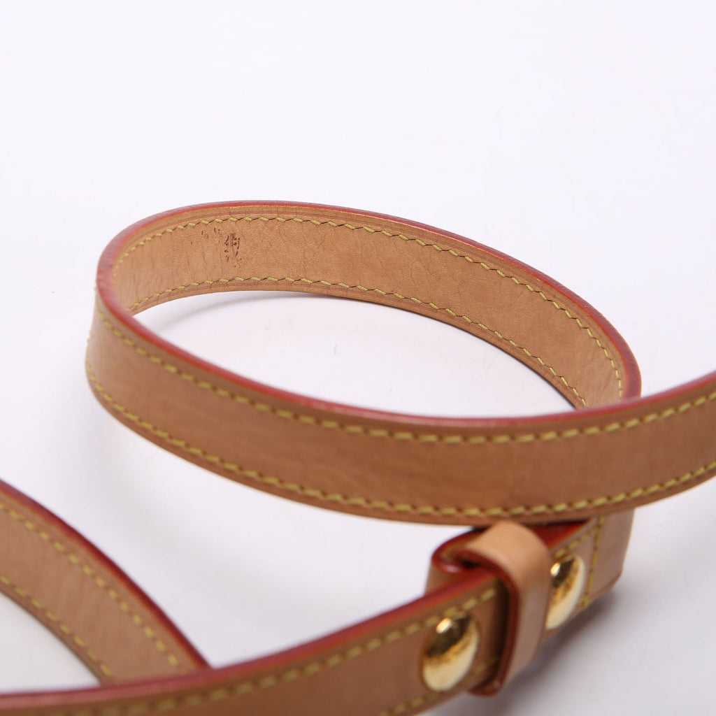 Dauphine Soft GM Monogram