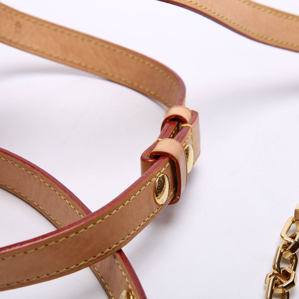 Dauphine Soft GM Monogram