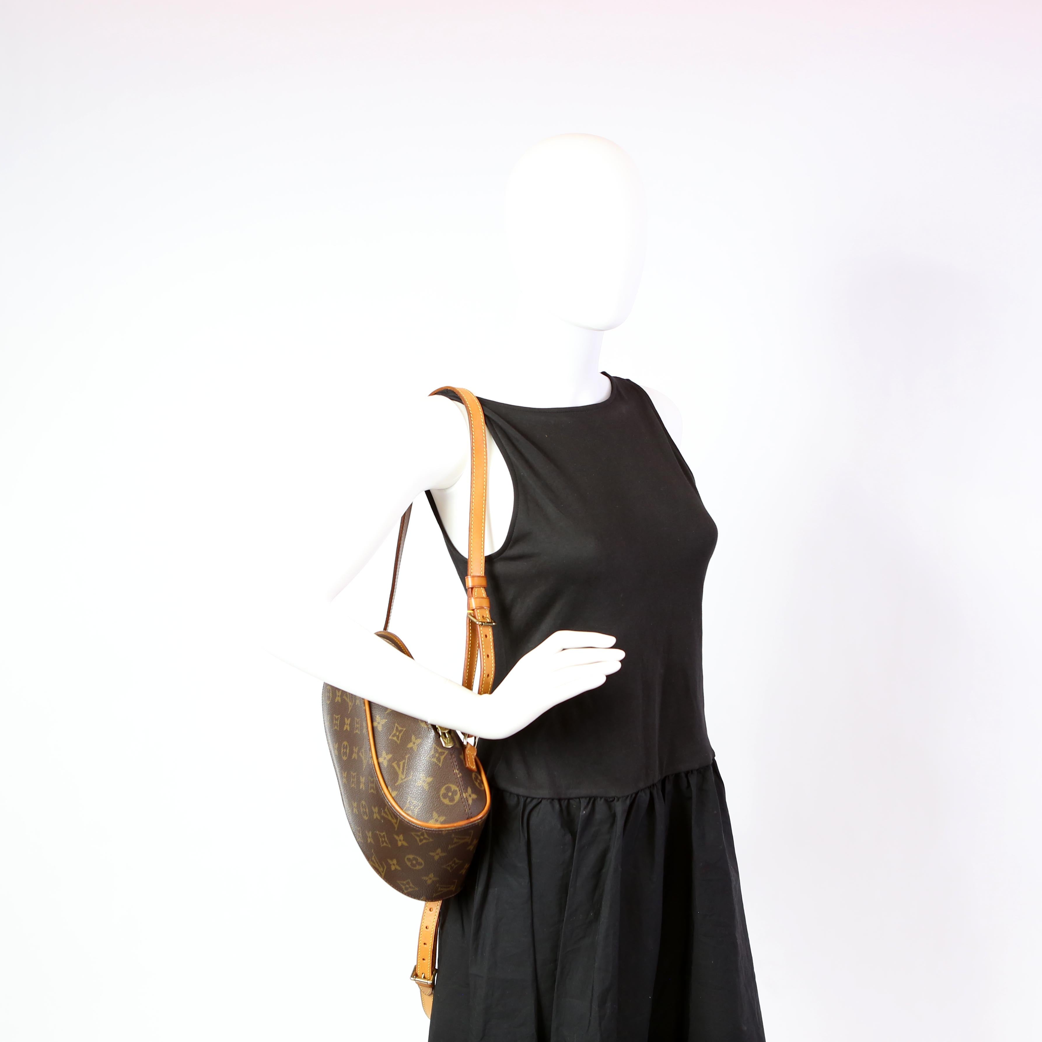 Ellipse Backpack Monogram