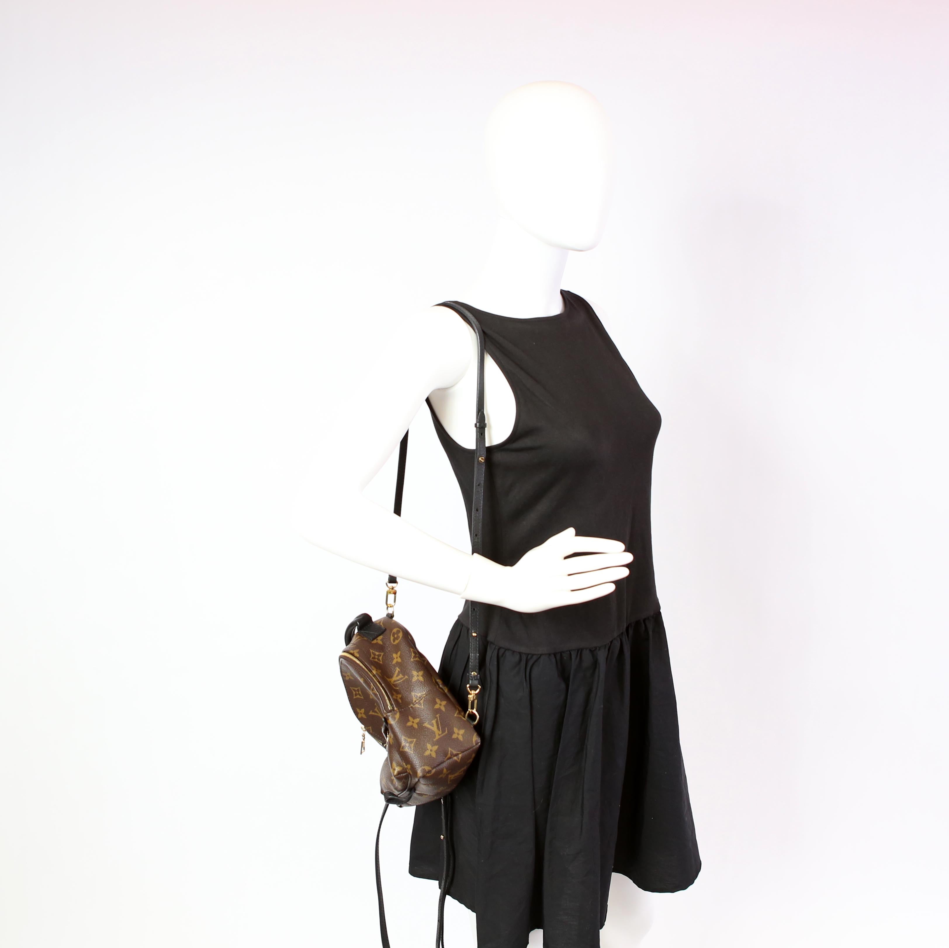 Palm Springs Mini Monogram Black