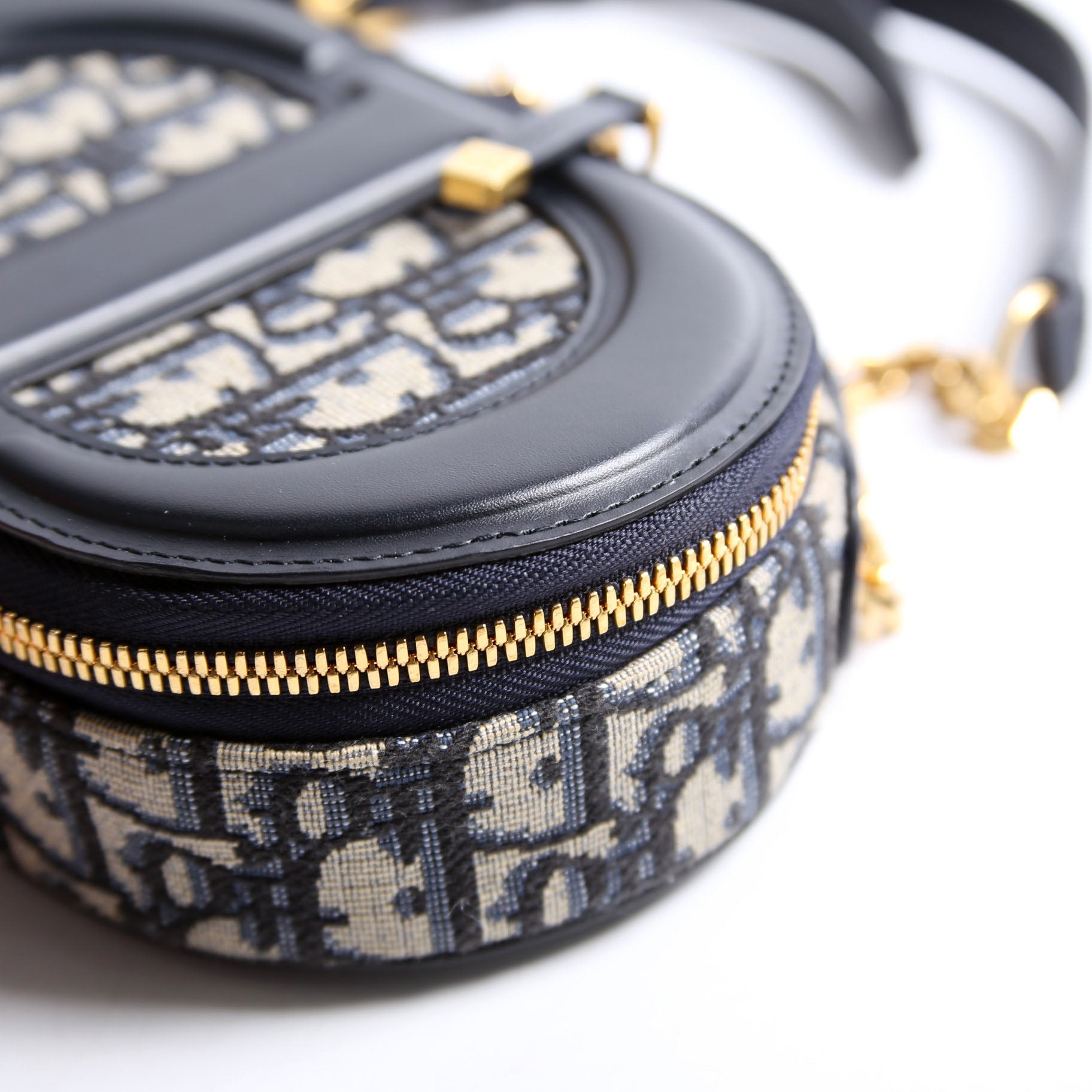 Dior CD Signature Oval Camera Bag Oblique
