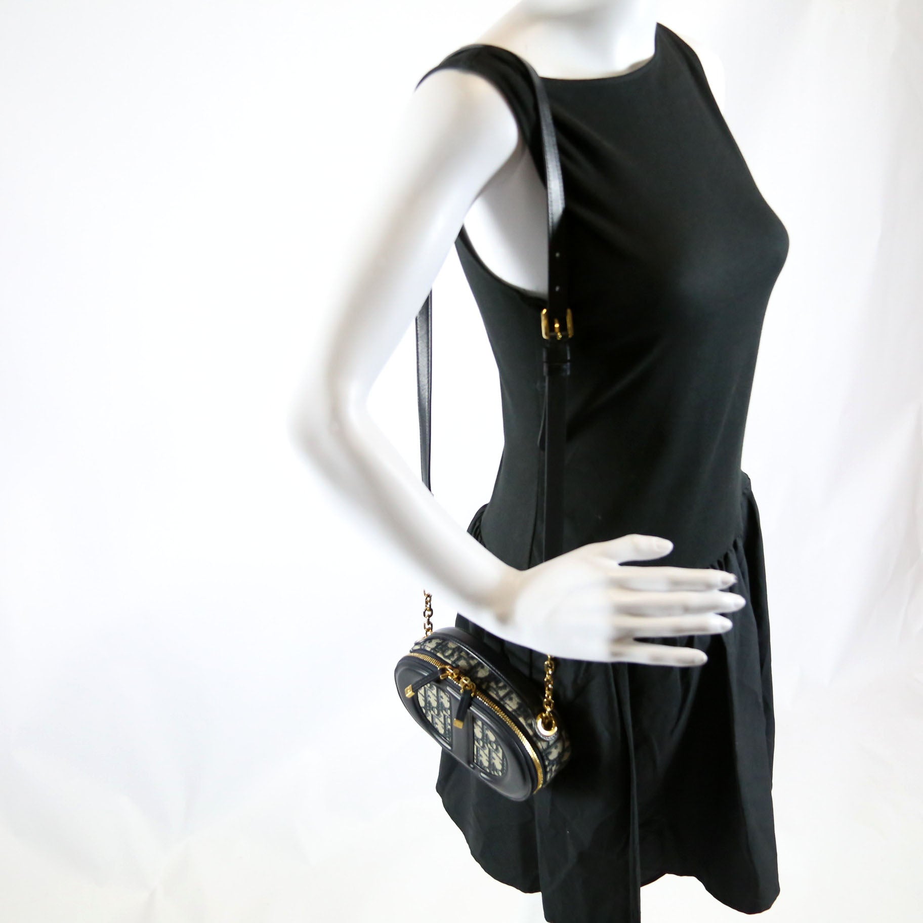 Dior CD Signature Oval Camera Bag Oblique