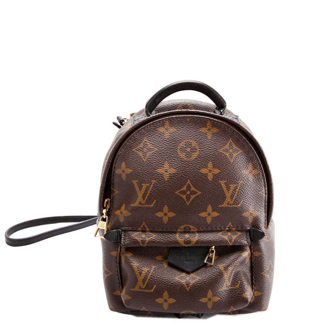 Palm Springs Mini Monogram Black/Brown