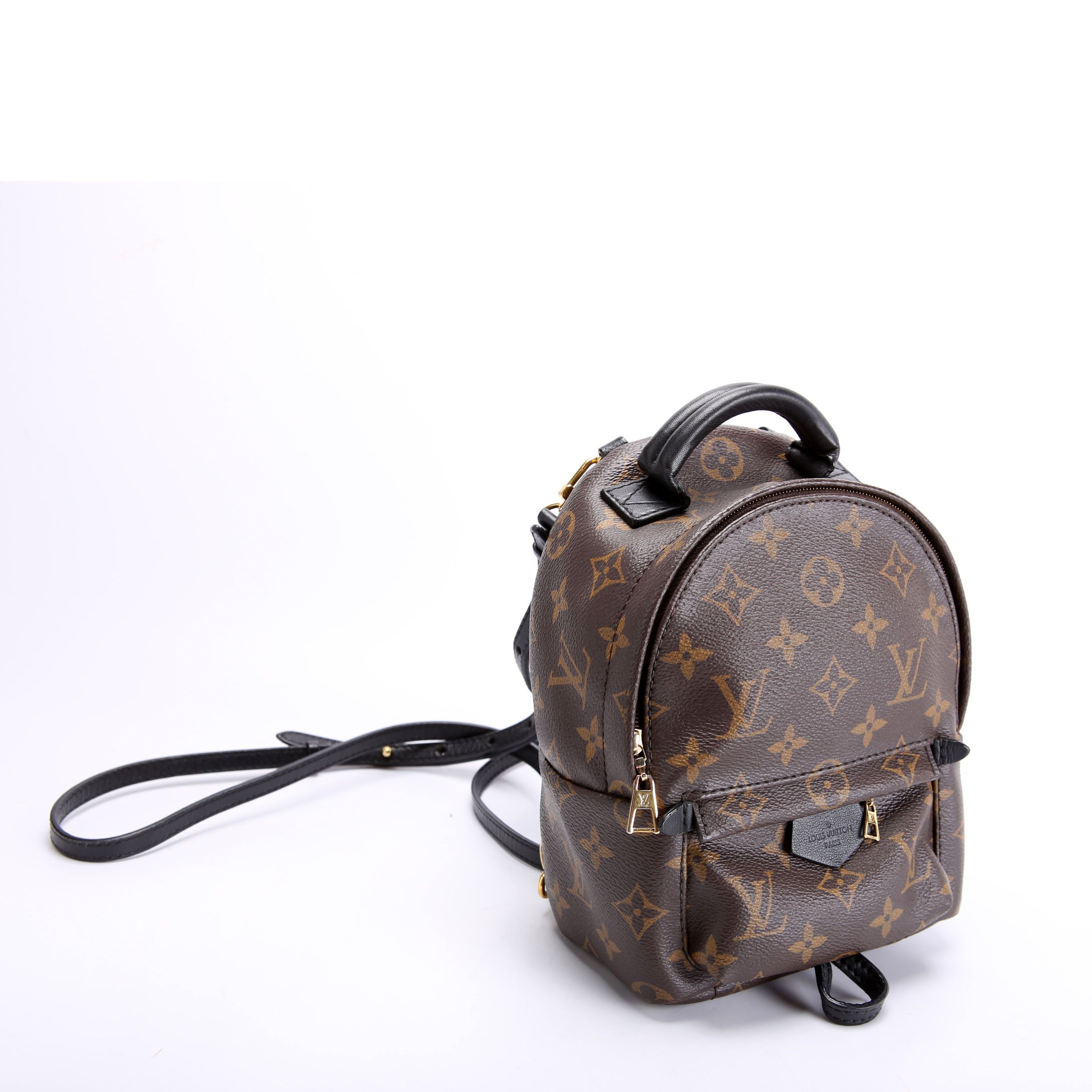 Palm Springs Mini Monogram Black/Brown