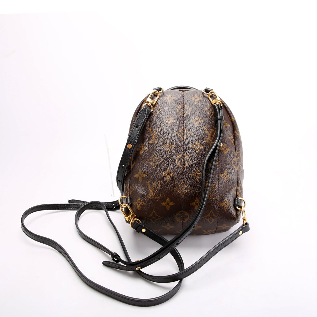 Palm Springs Mini Monogram Black/Brown