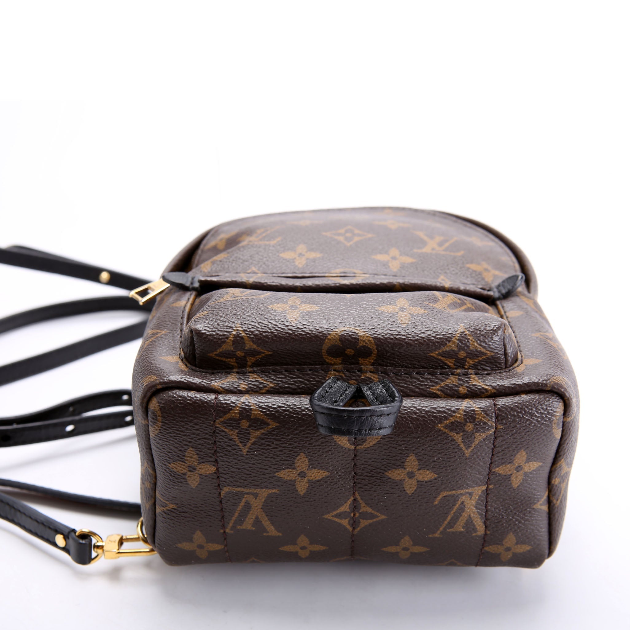 Palm Springs Mini Monogram Black/Brown