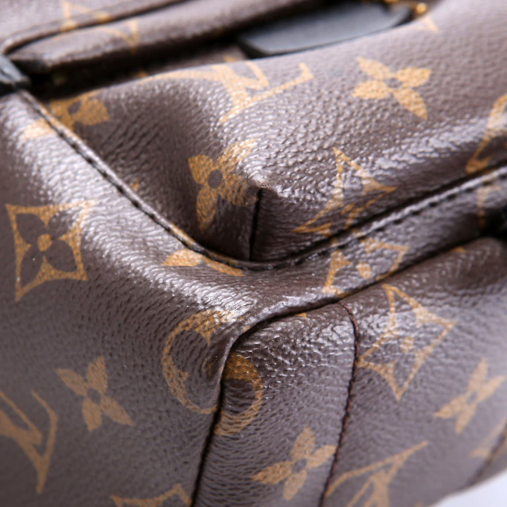 Palm Springs Mini Monogram Black/Brown