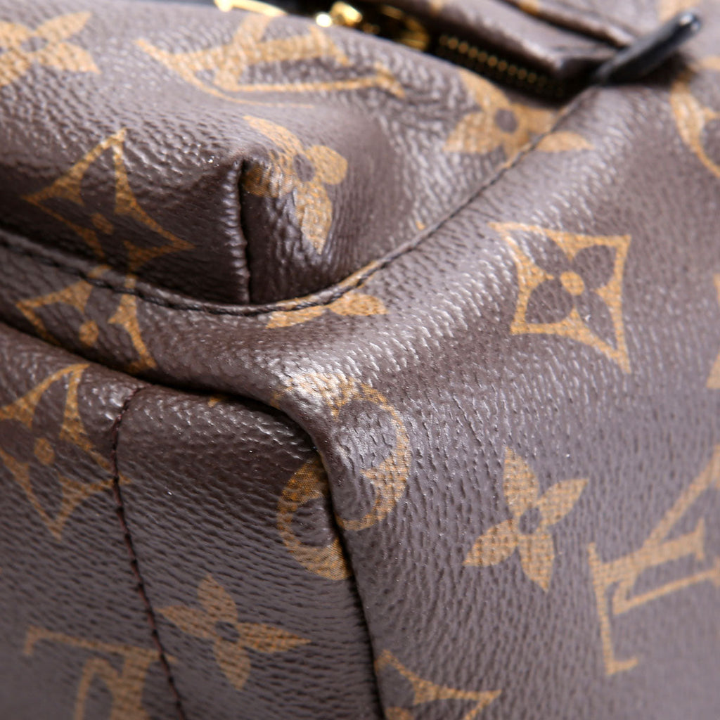 Palm Springs Mini Monogram Black/Brown