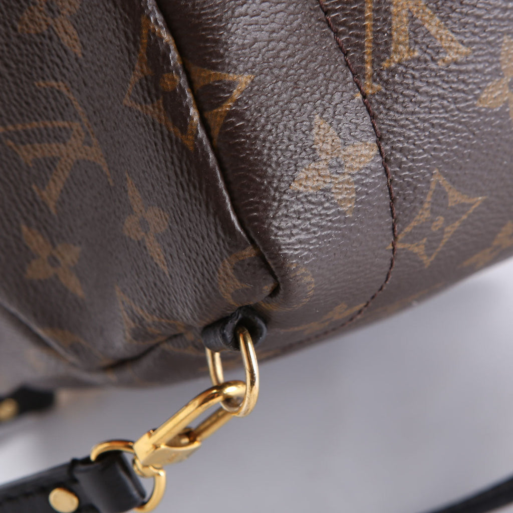 Palm Springs Mini Monogram Black/Brown