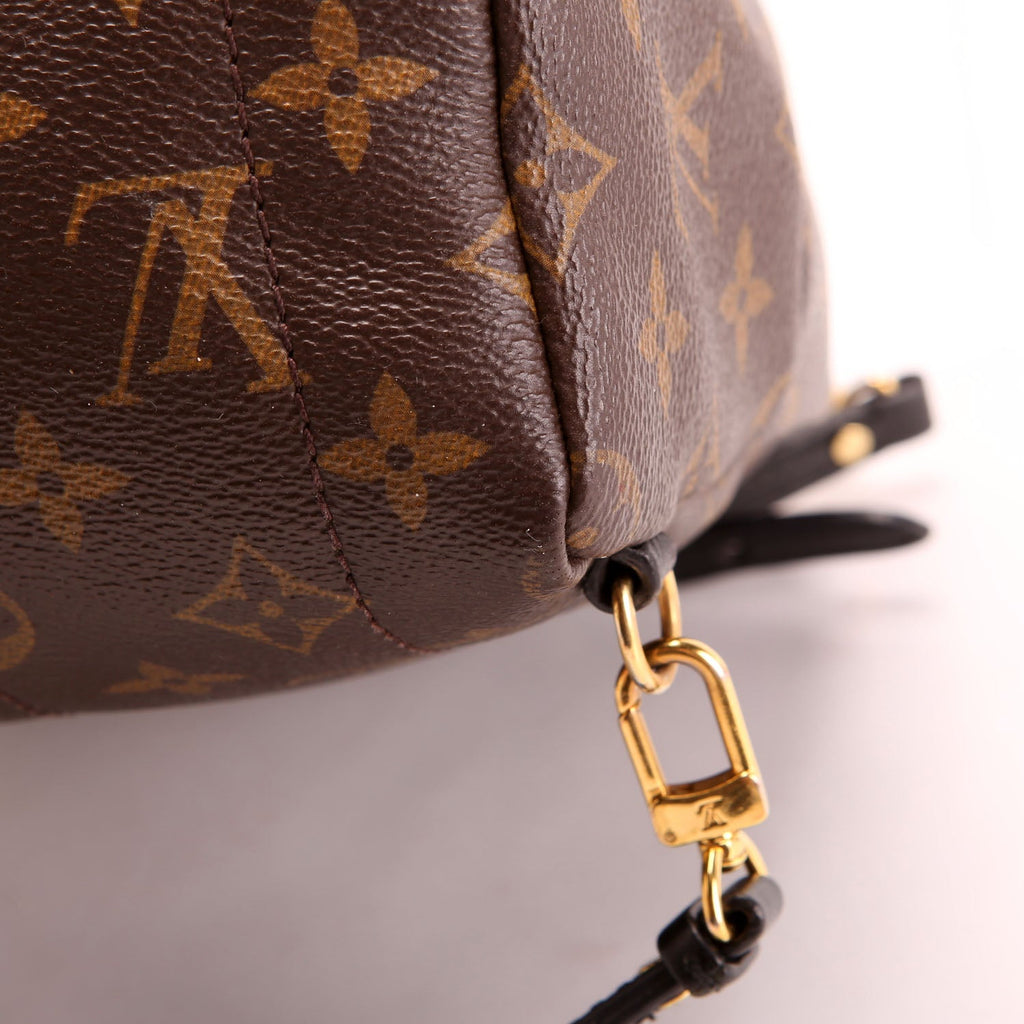 Palm Springs Mini Monogram Black/Brown