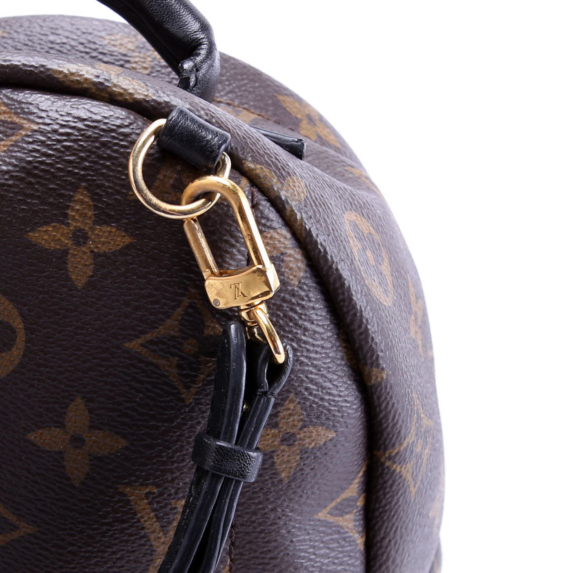 Palm Springs Mini Monogram Black/Brown