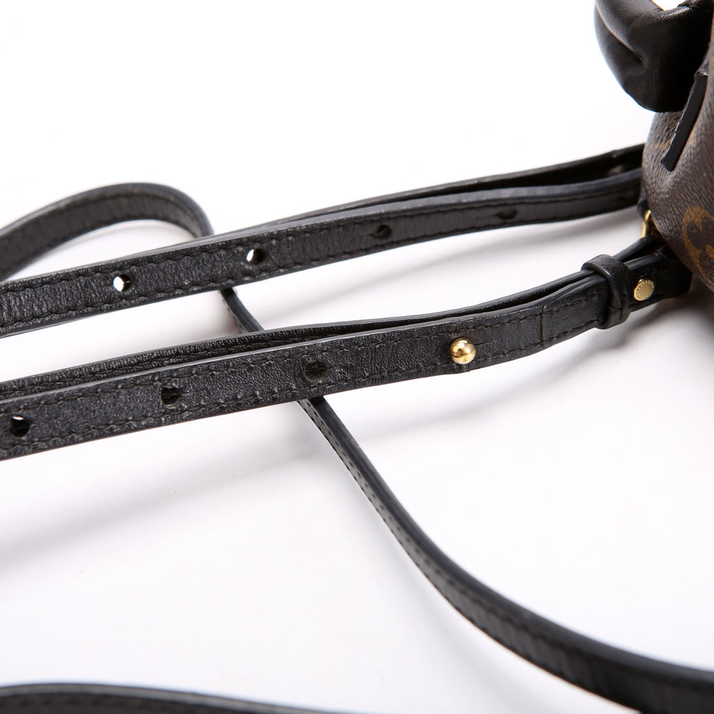 Palm Springs Mini Monogram Black/Brown