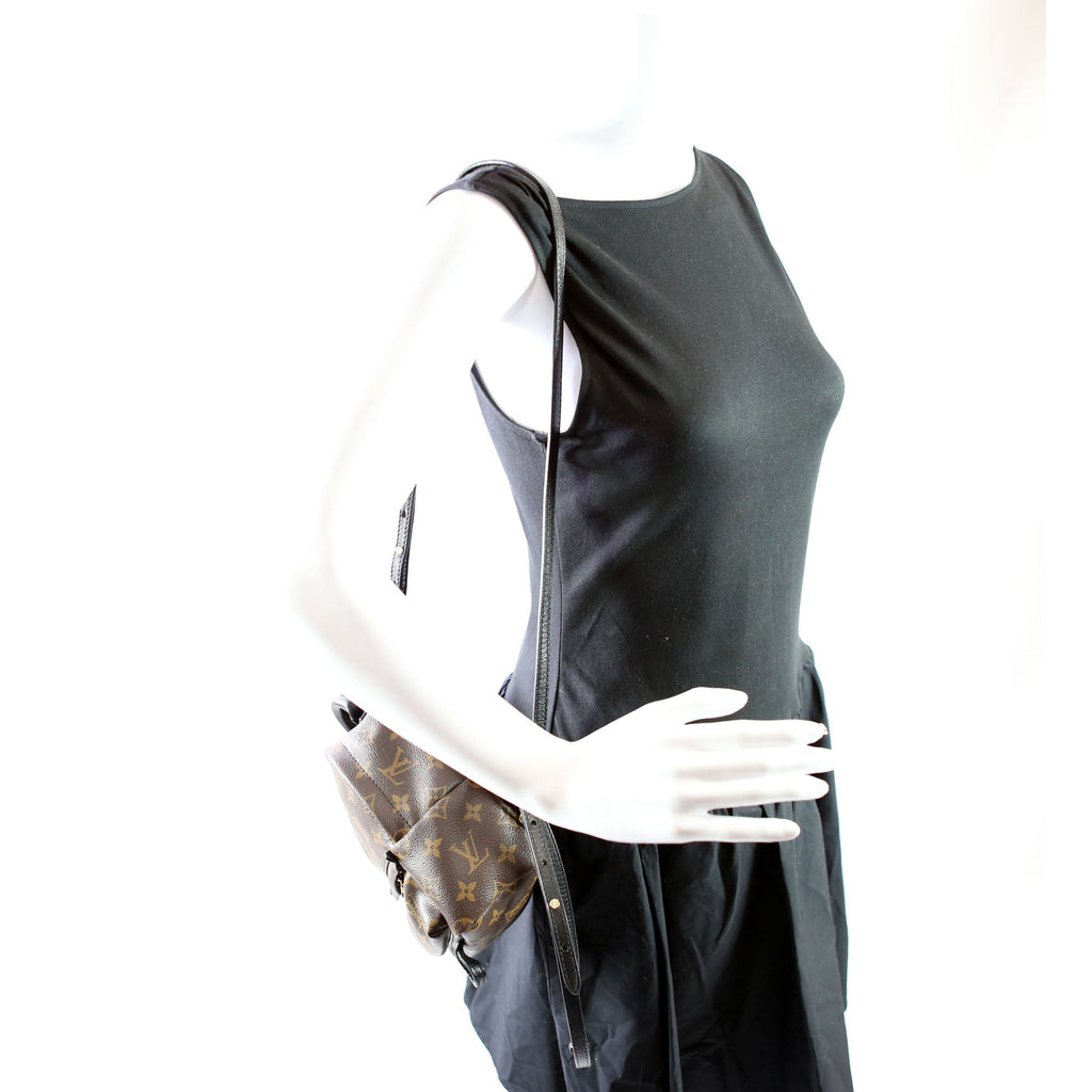 Palm Springs Mini Monogram Black/Brown