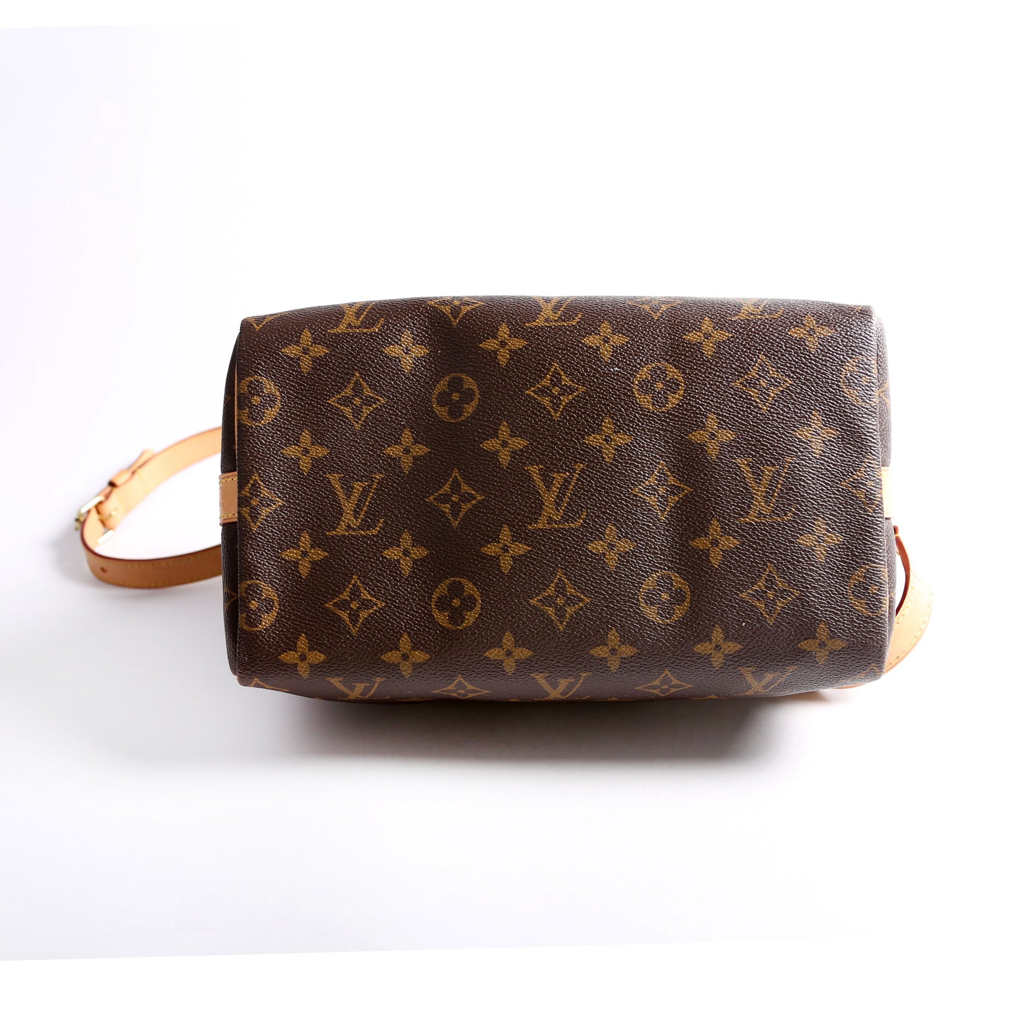 Speedy 25 Bandouliere Monogram
