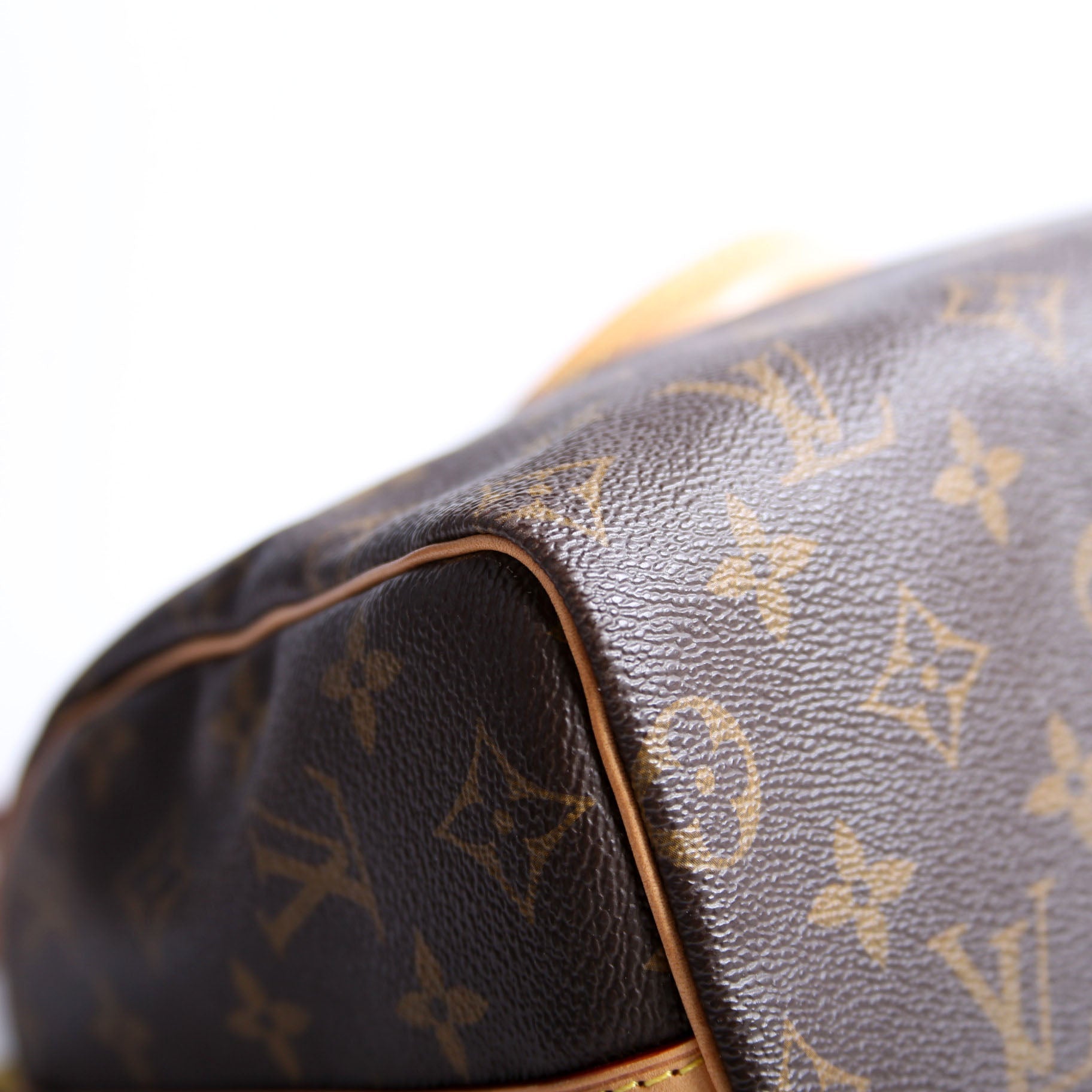Speedy 25 Bandouliere Monogram