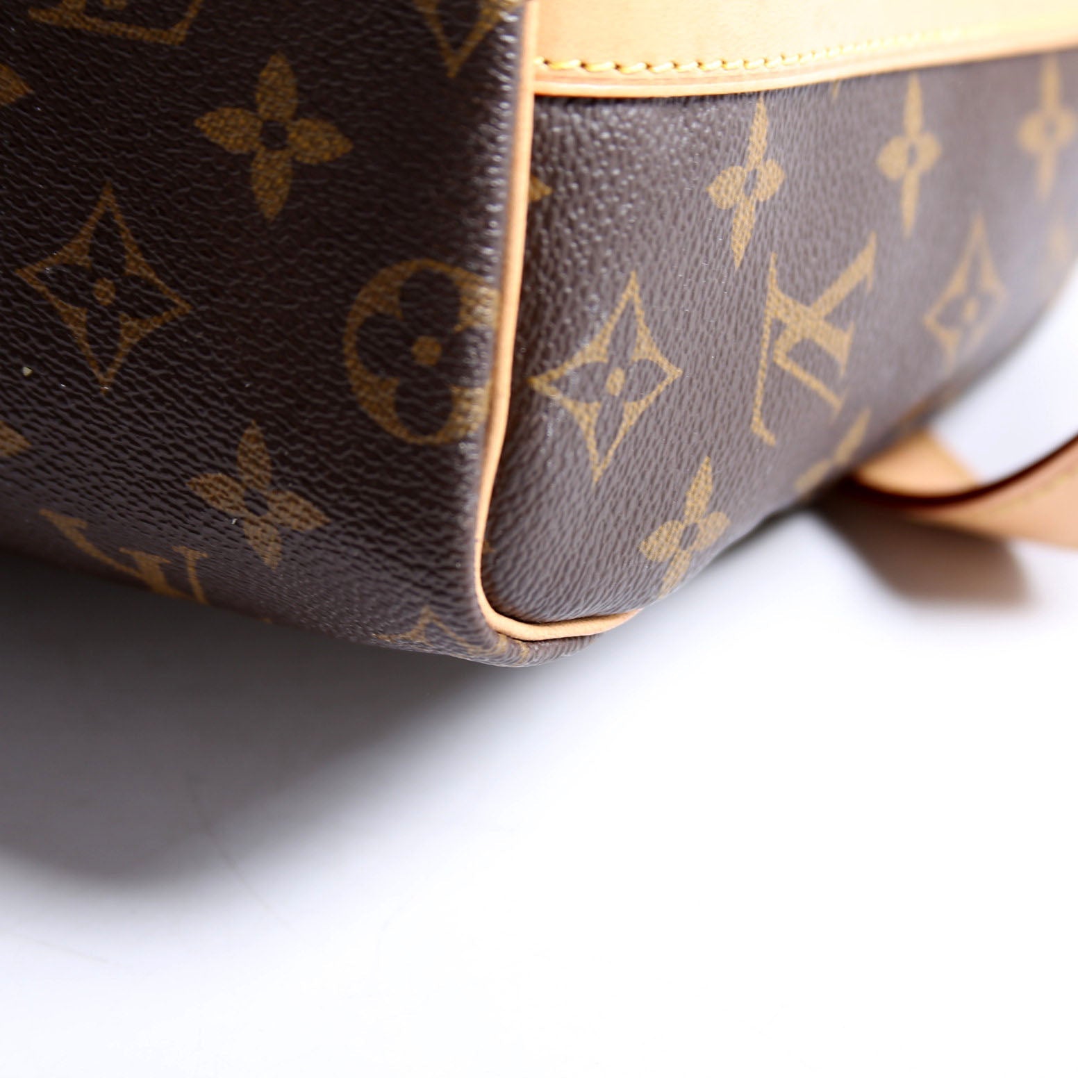 Speedy 25 Bandouliere Monogram