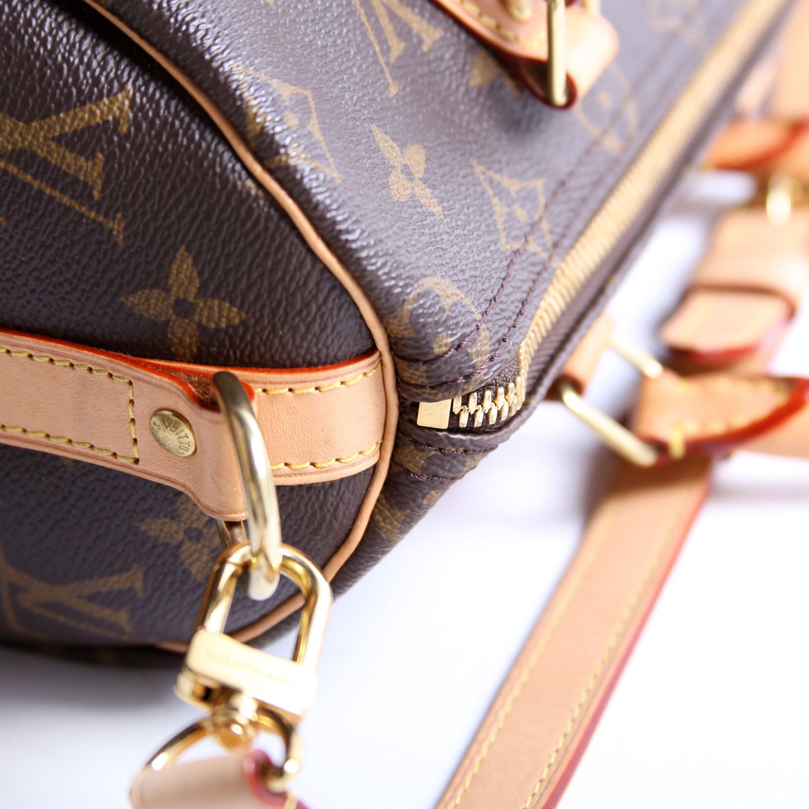 Speedy 25 Bandouliere Monogram