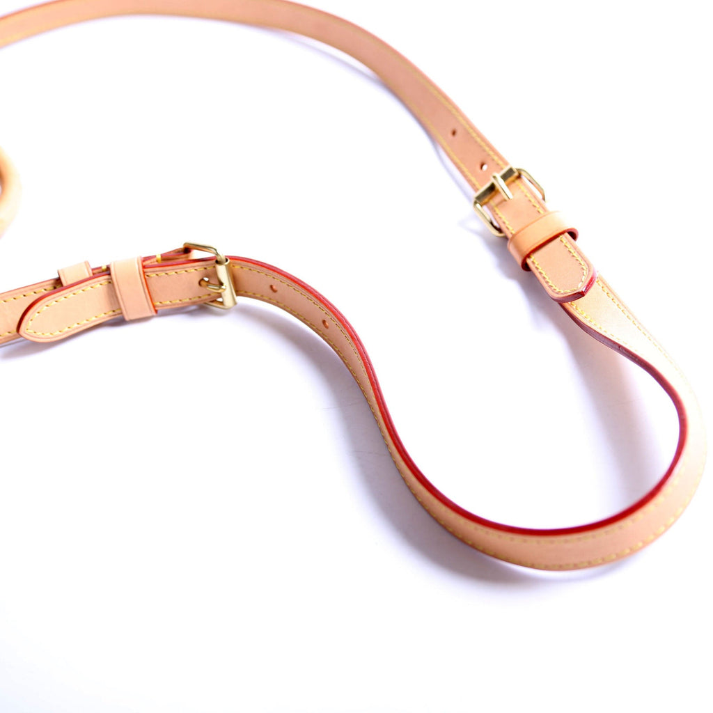 Speedy 25 Bandouliere Monogram