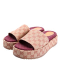 GG Canvas Platform Slides Size 40