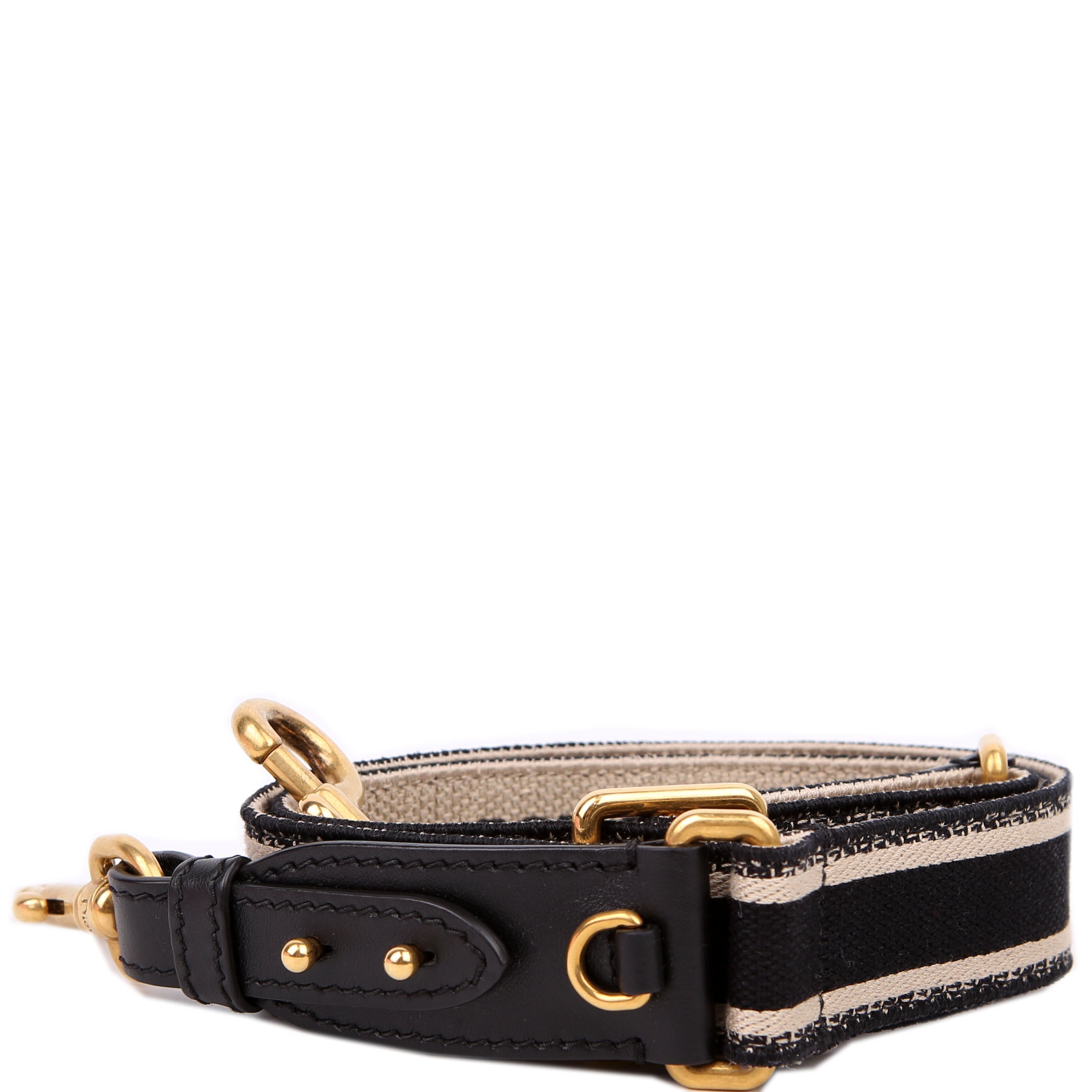 Dior Logo Canvas Adjustable Strap