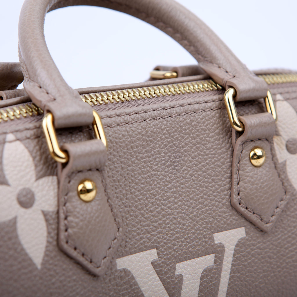 Papillon BB Bicolor Empreinte Turtledove/Cream