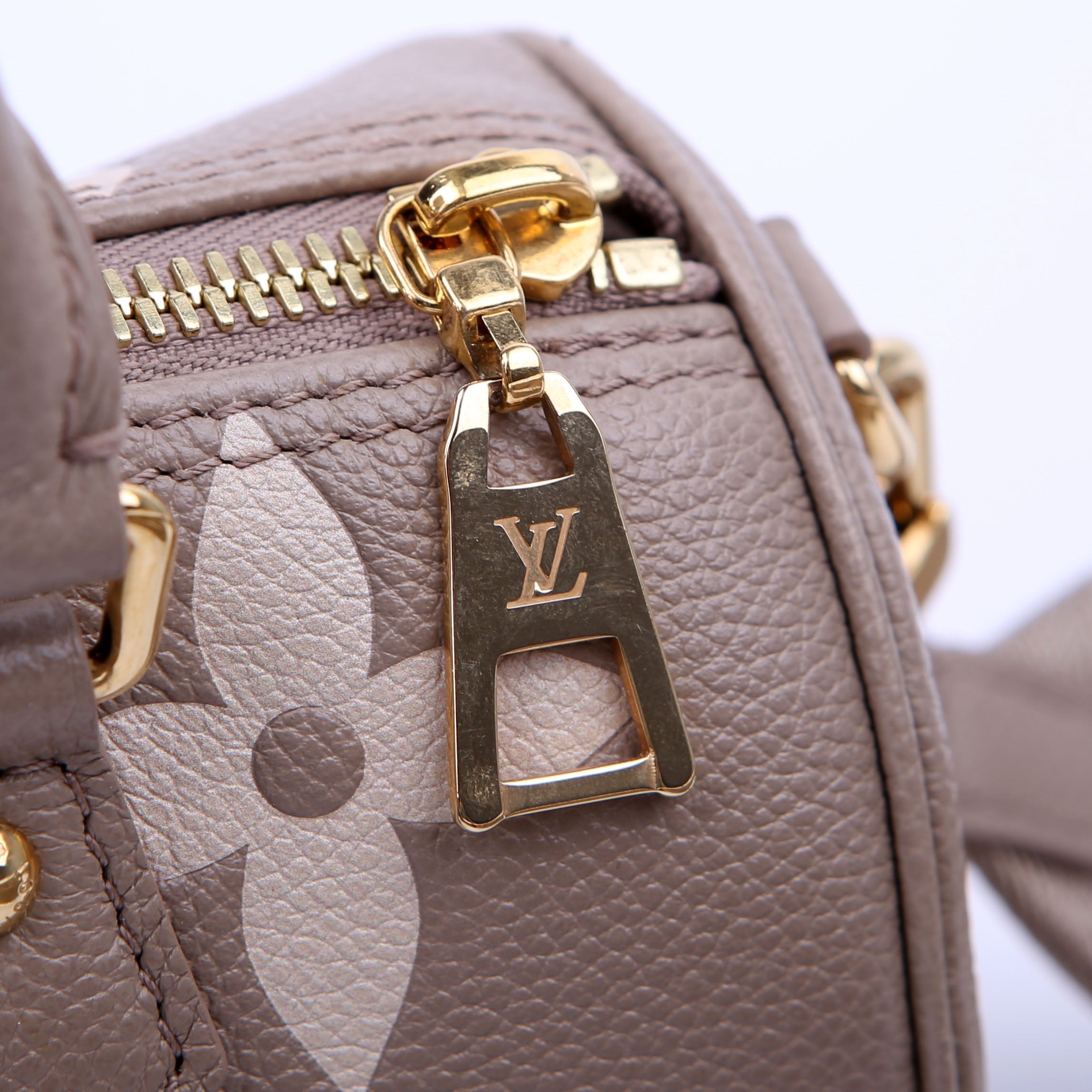 Papillon BB Bicolor Empreinte Turtledove/Cream