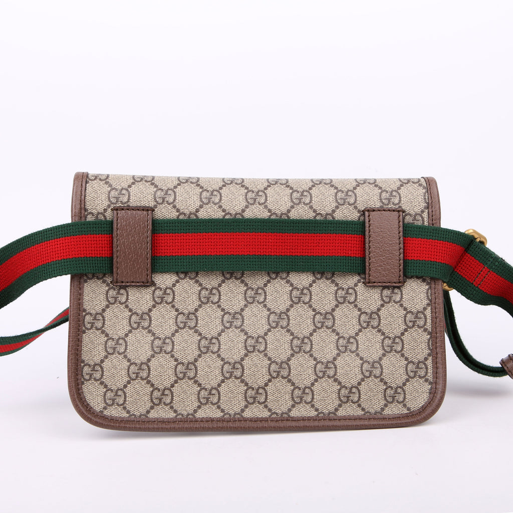 493930 GG Supreme Neo Web Belt