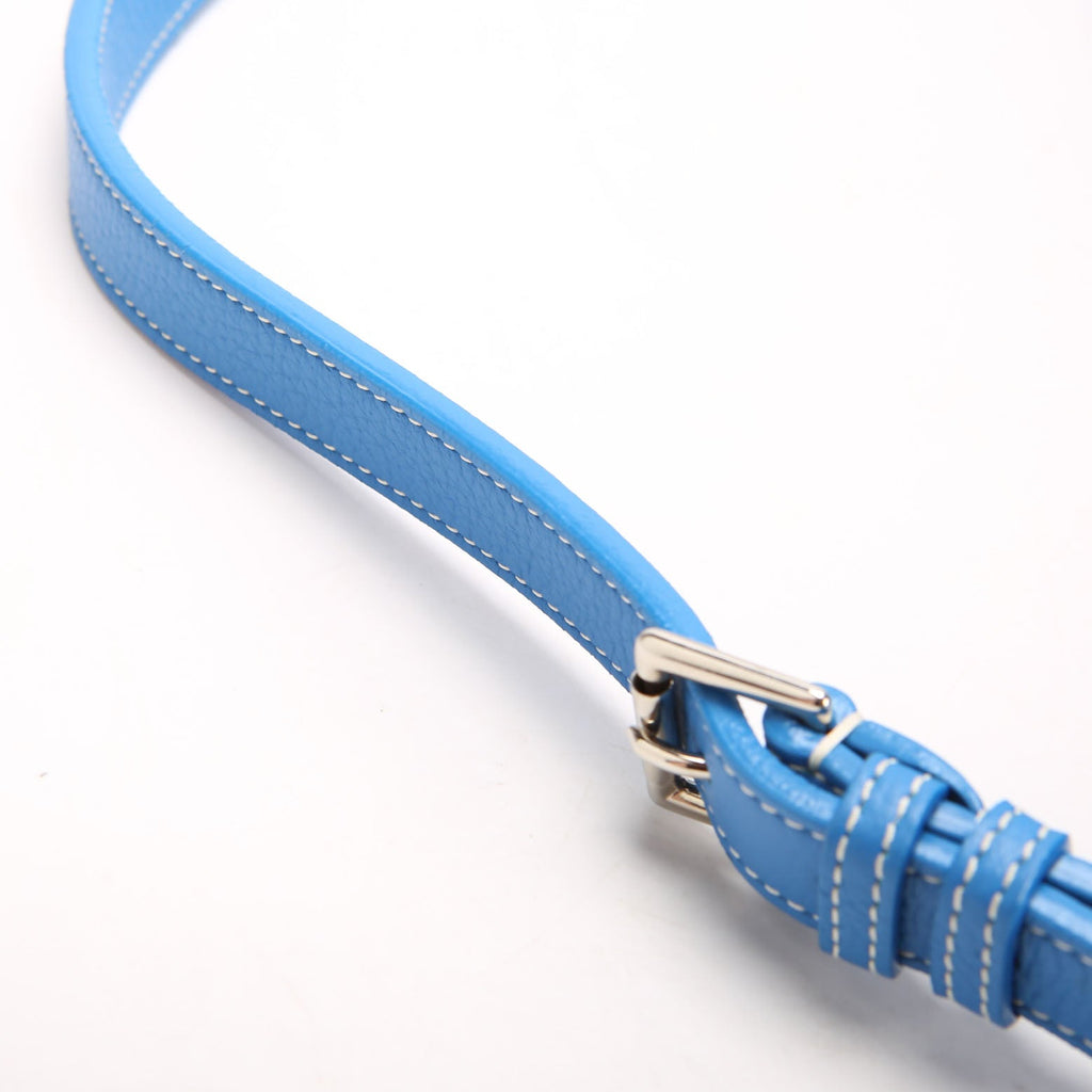 Grenadine Hobo Goyardine Blue