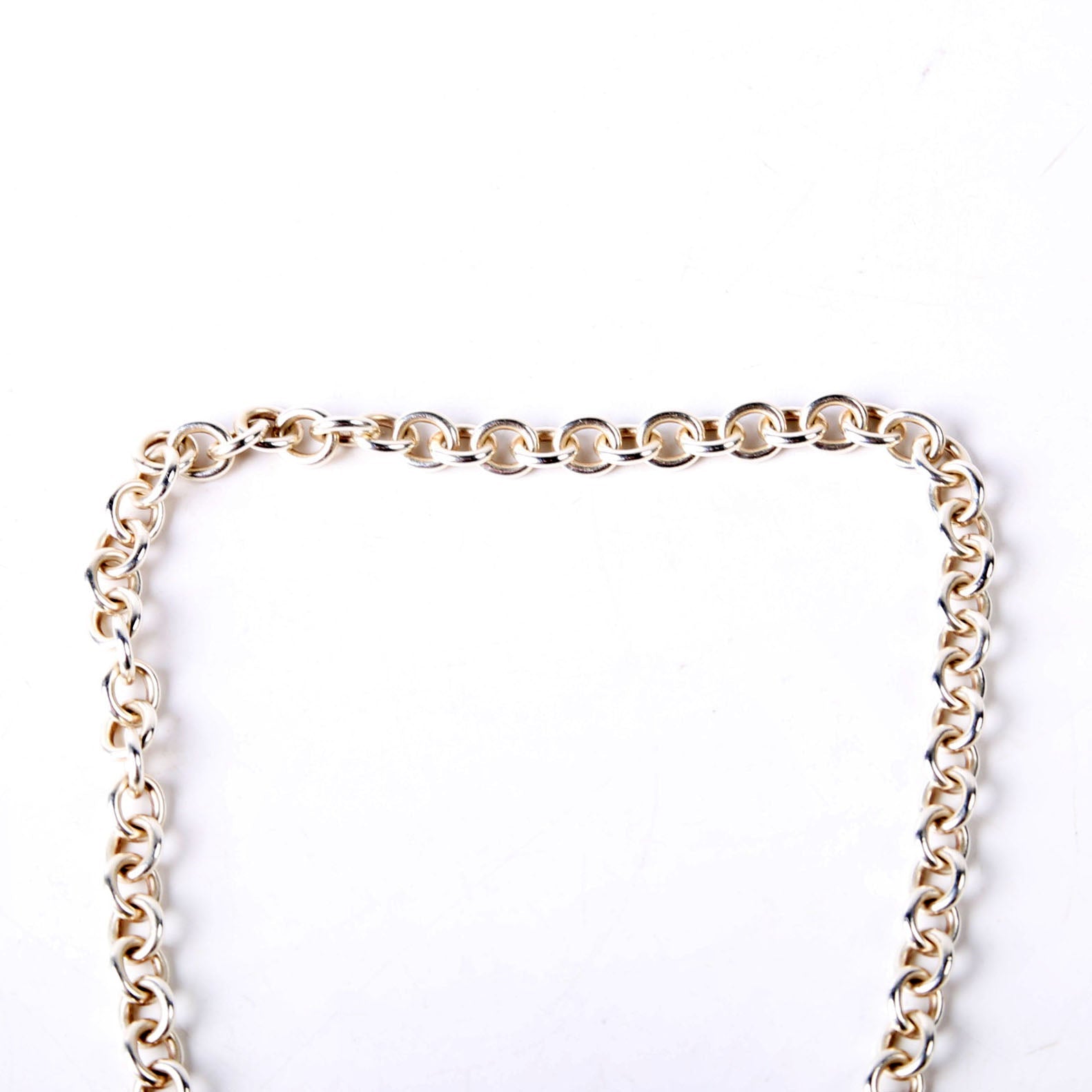 Lovestruck Heart Tag Necklace 925