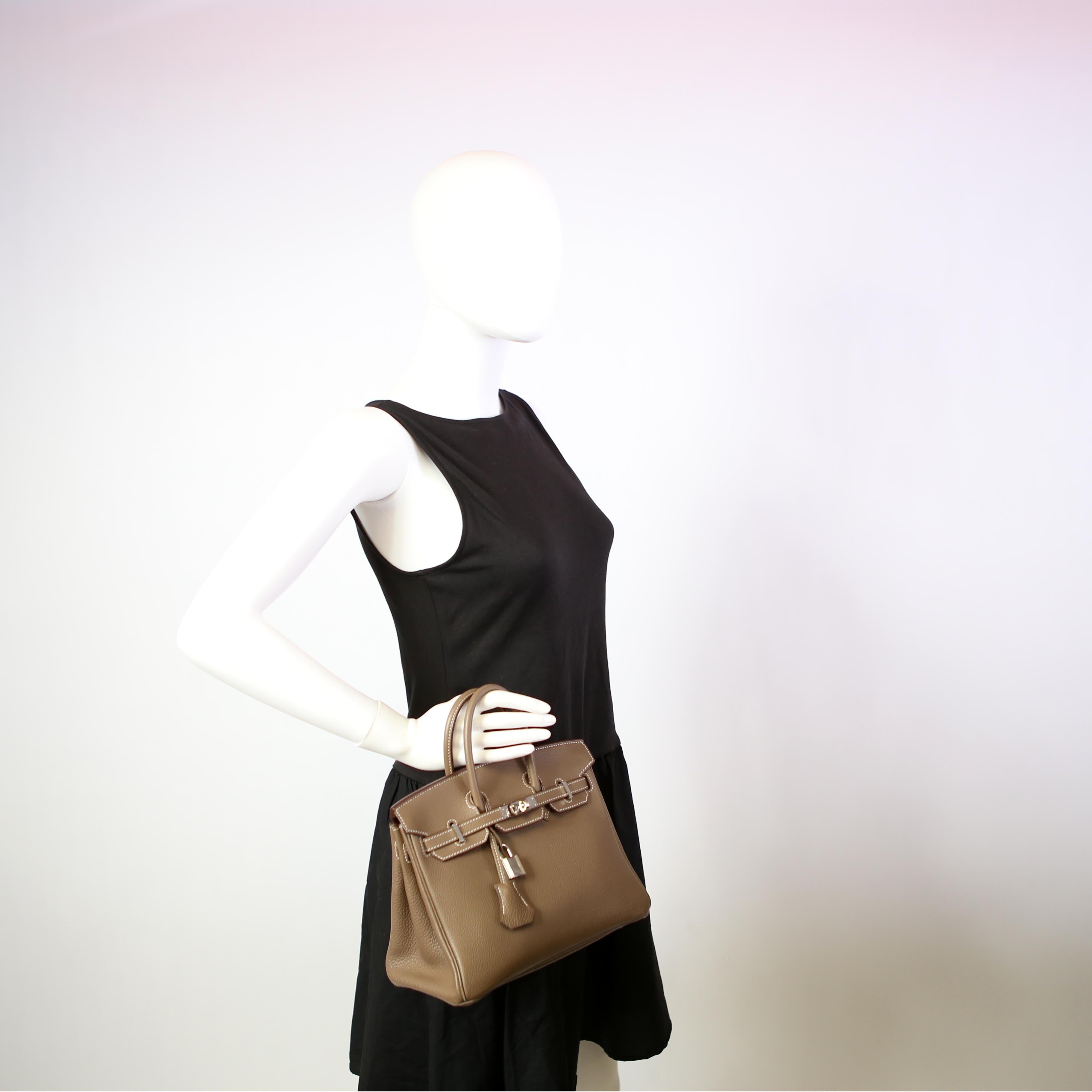 Hermes Birkin 25 Togo 2019 Etoupe/Palladium