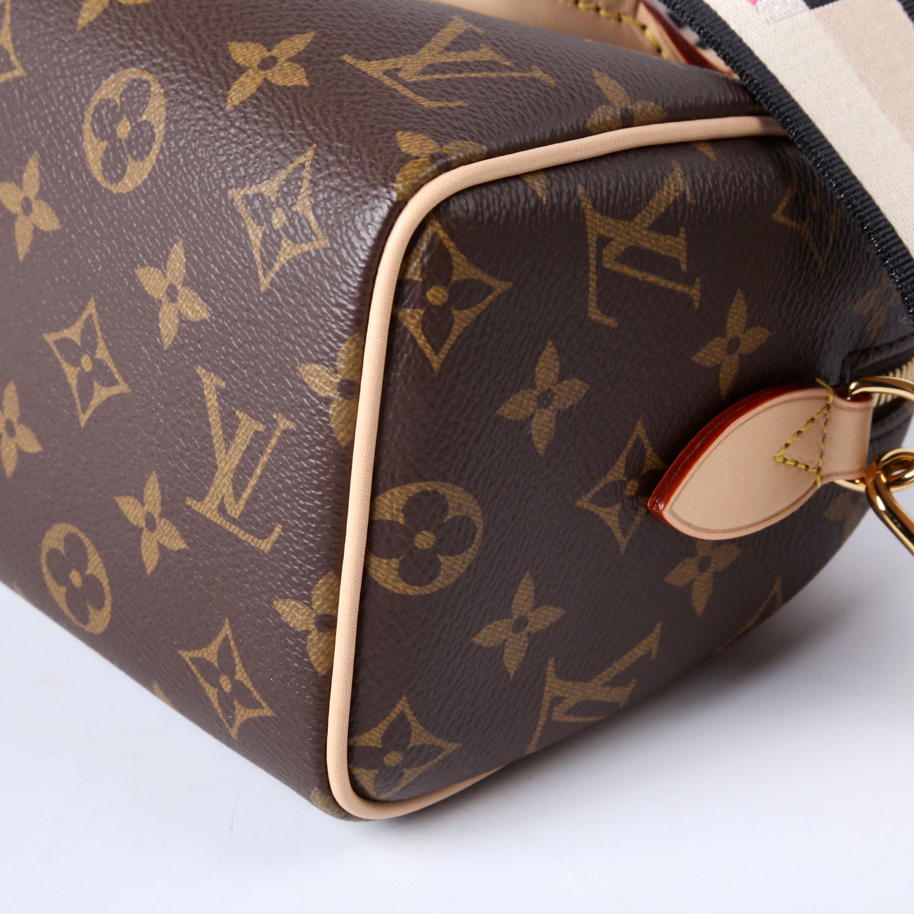 Speedy 20 Bandouliere Monogram