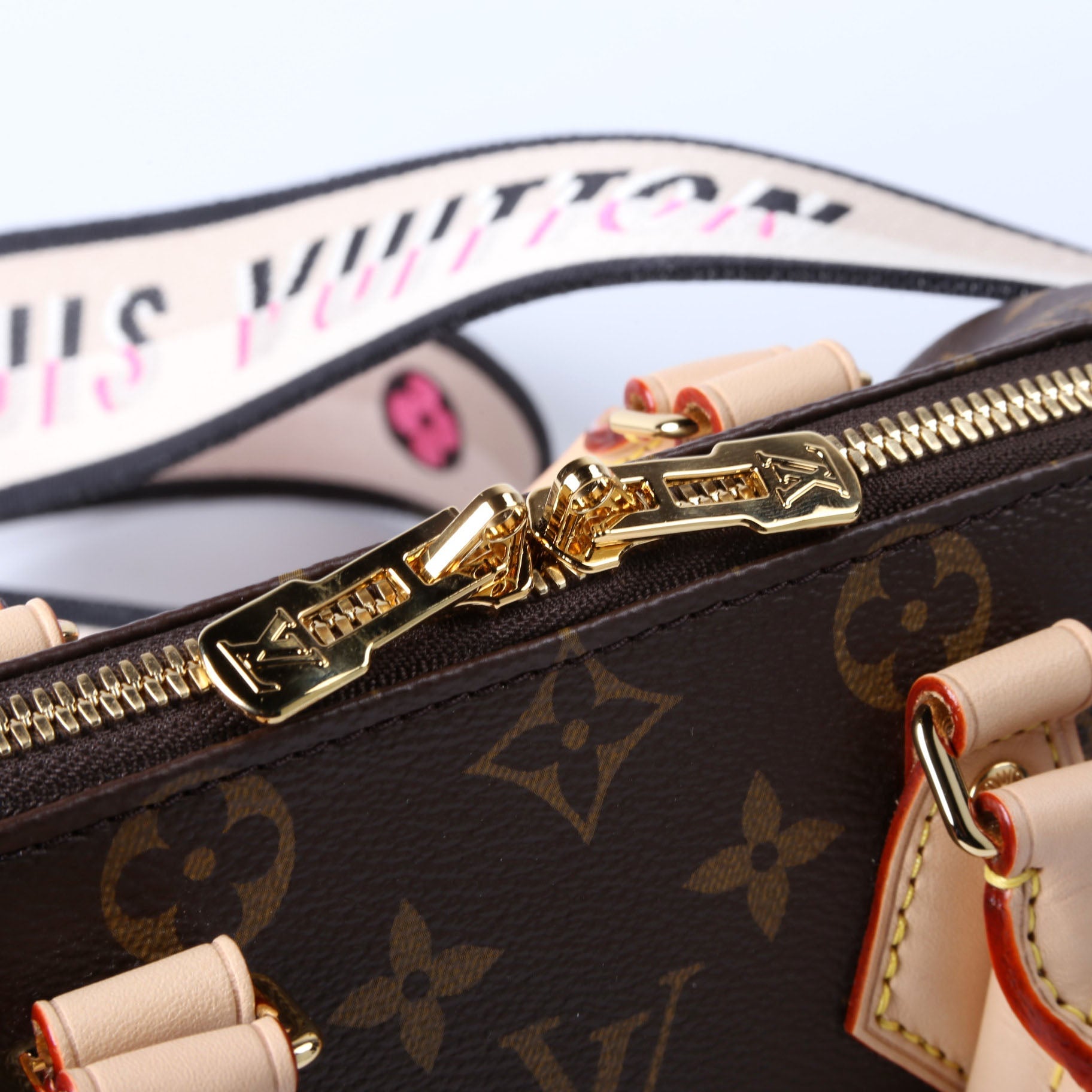 Speedy 20 Bandouliere Monogram