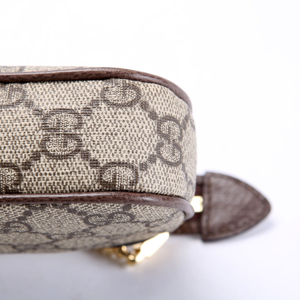 764960 GG Supreme Ophidia Mini Bag