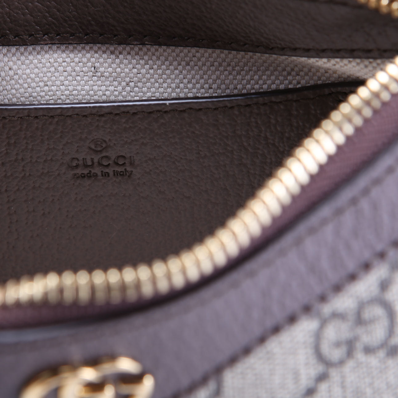 764960 GG Supreme Ophidia Mini Bag