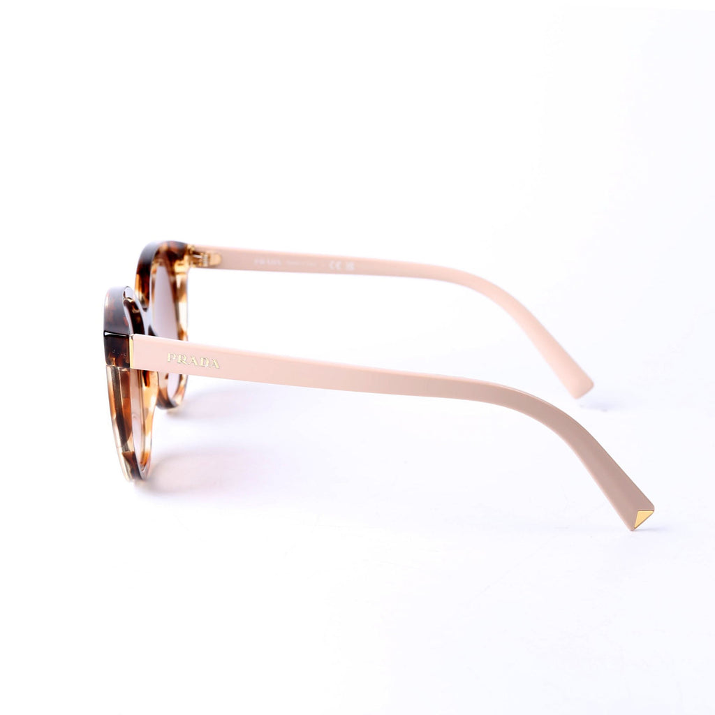 SPR22Z Wayfarer Sunglasses Brown