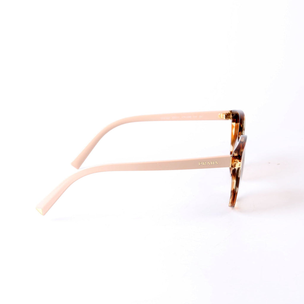 SPR22Z Wayfarer Sunglasses Brown