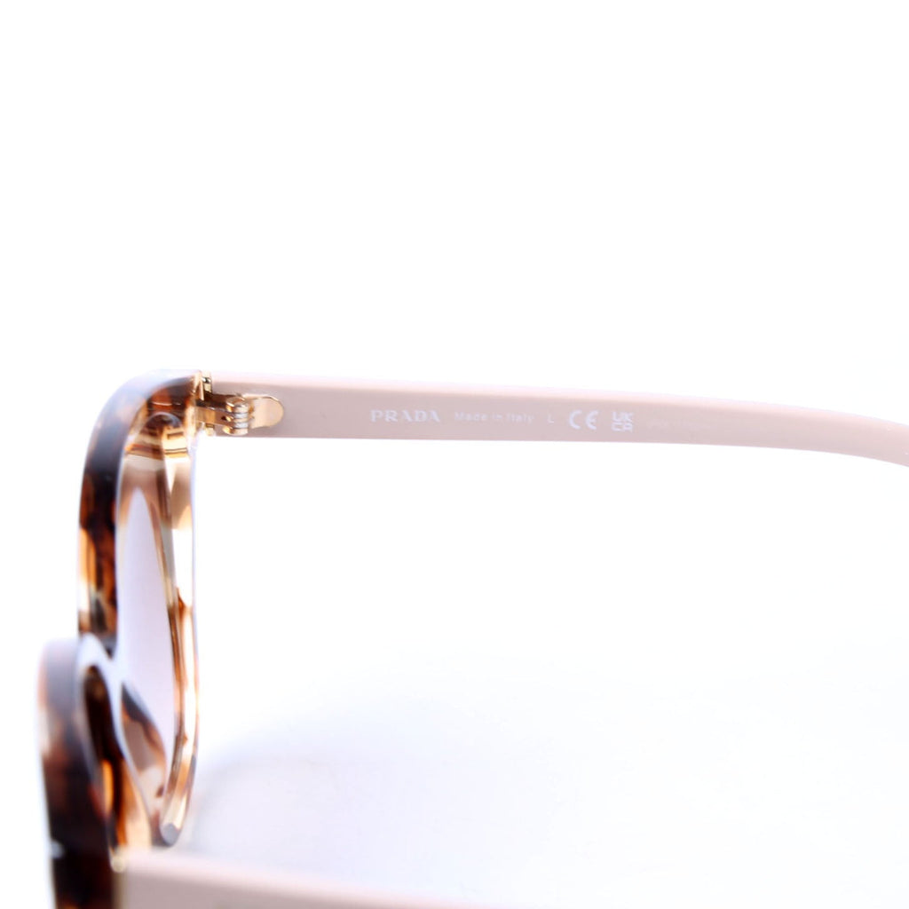 SPR22Z Wayfarer Sunglasses Brown