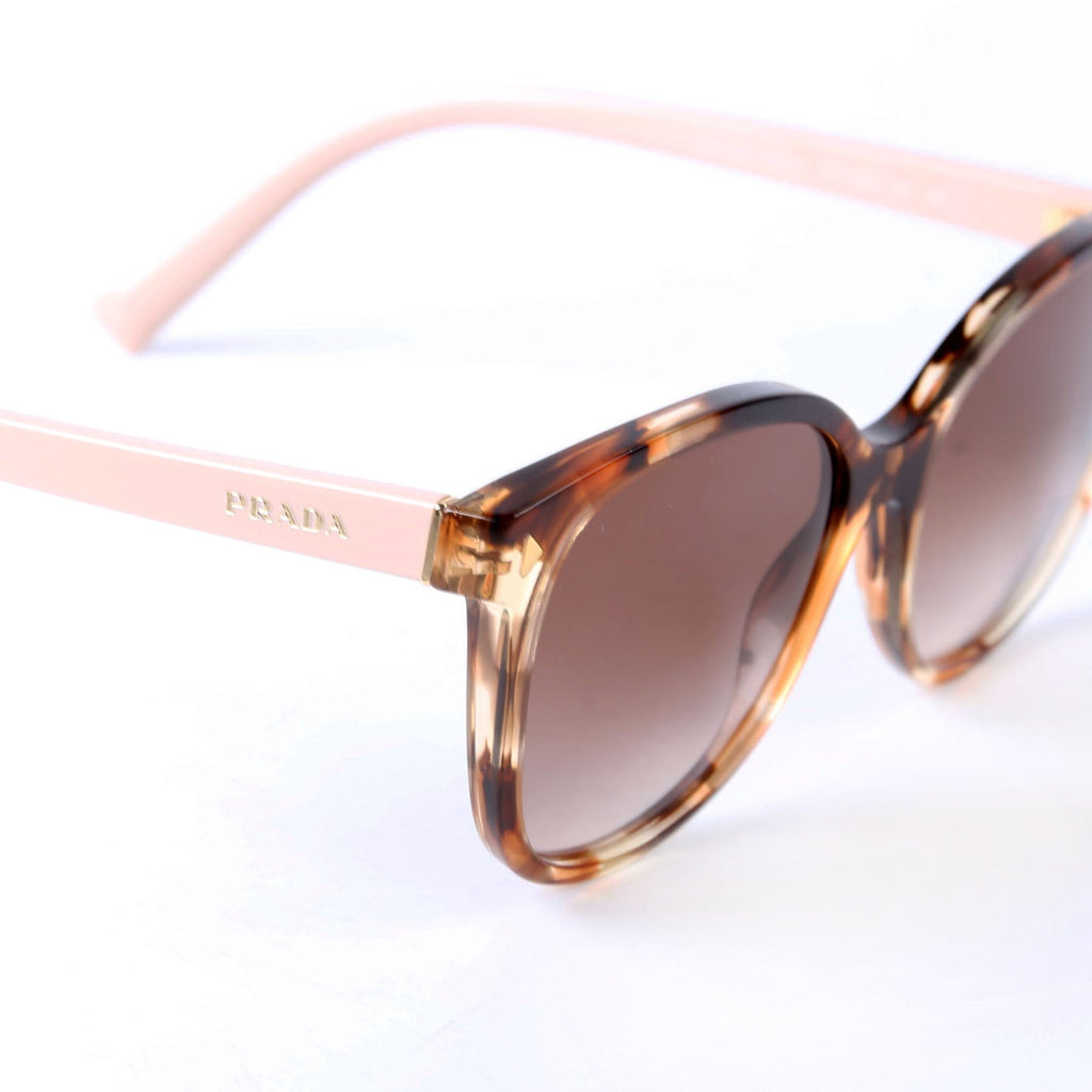 SPR22Z Wayfarer Sunglasses Brown