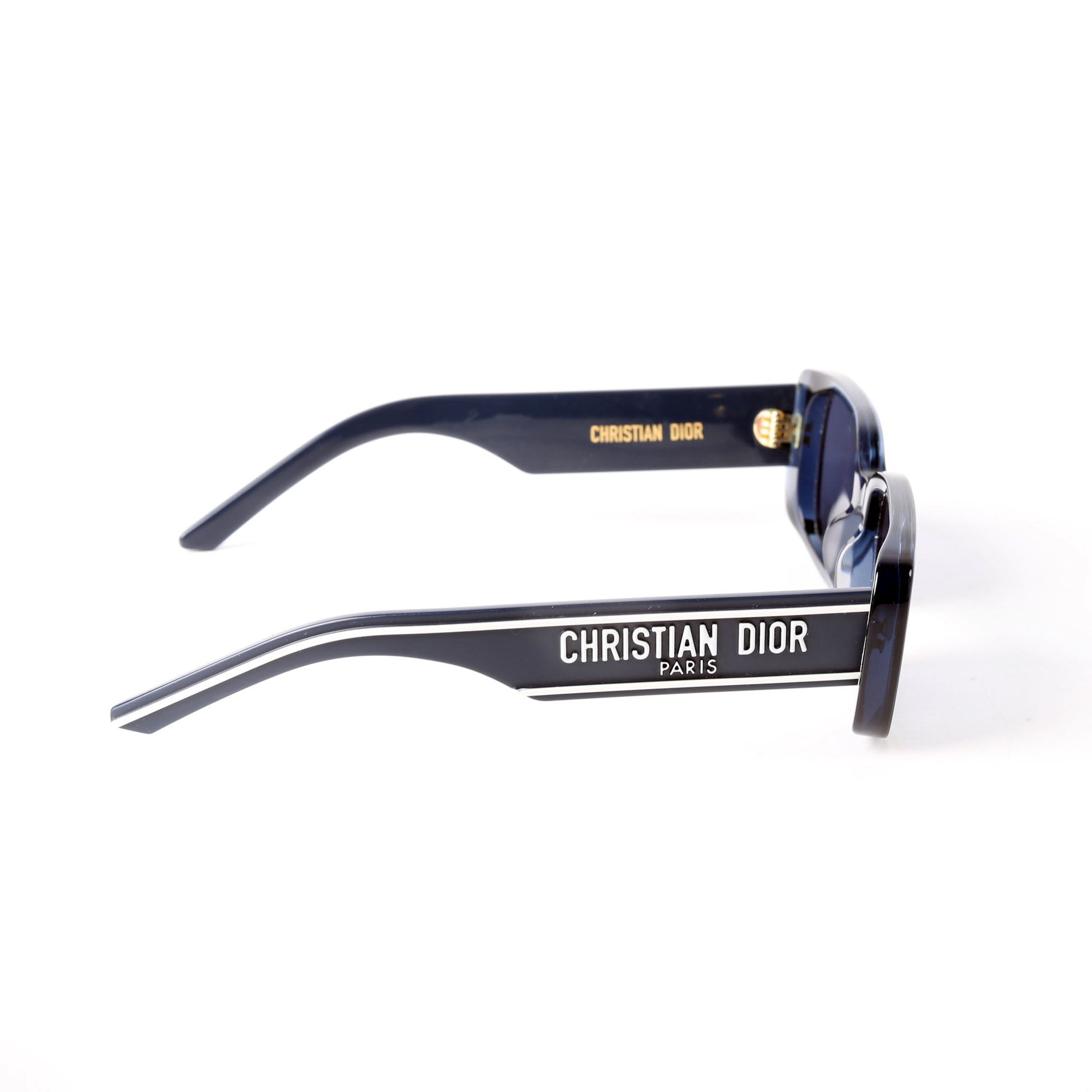 Dior Wildior S2U Rectangle Sunglasses Blue