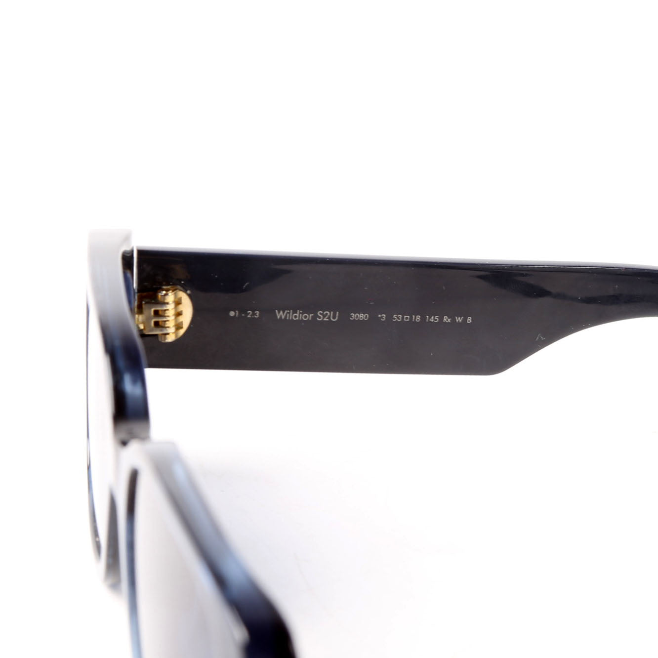 Dior Wildior S2U Rectangle Sunglasses Blue