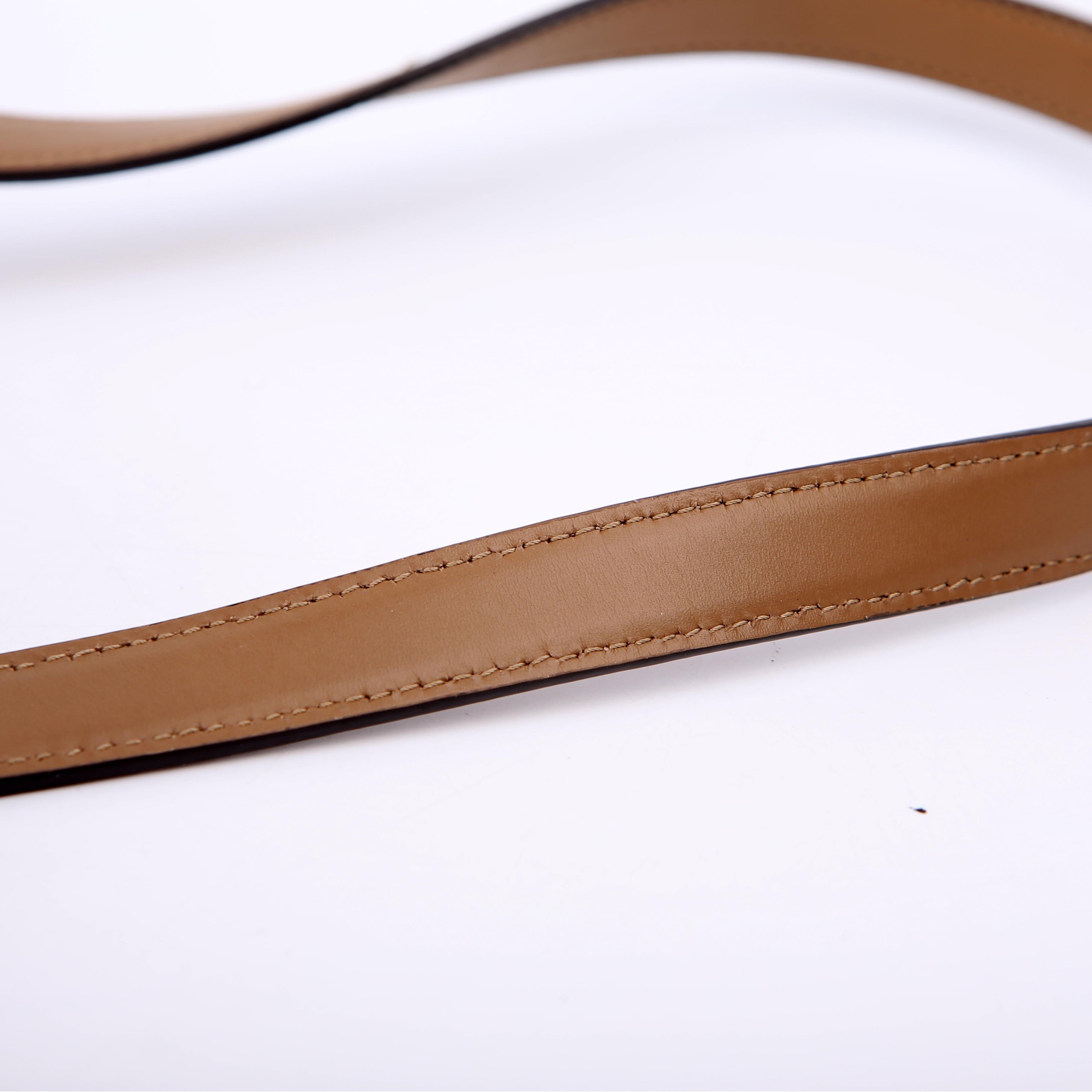 Fendi Sunshine Shopper Small FF Canvas Brown