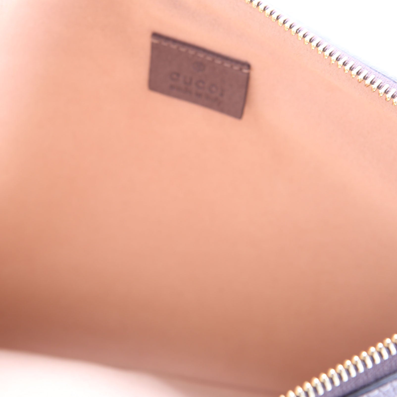 Gucci 517551 GG Supreme Ophidia Pouch Brown