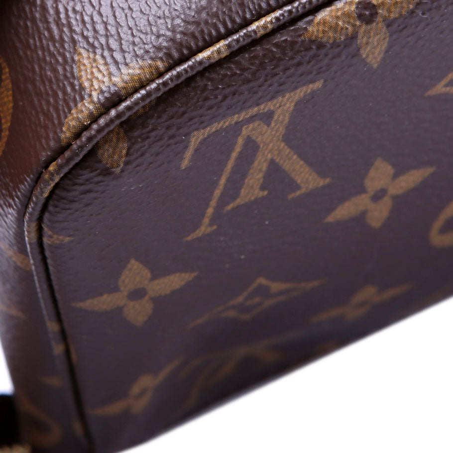 Pochette Accessories NM Monogram