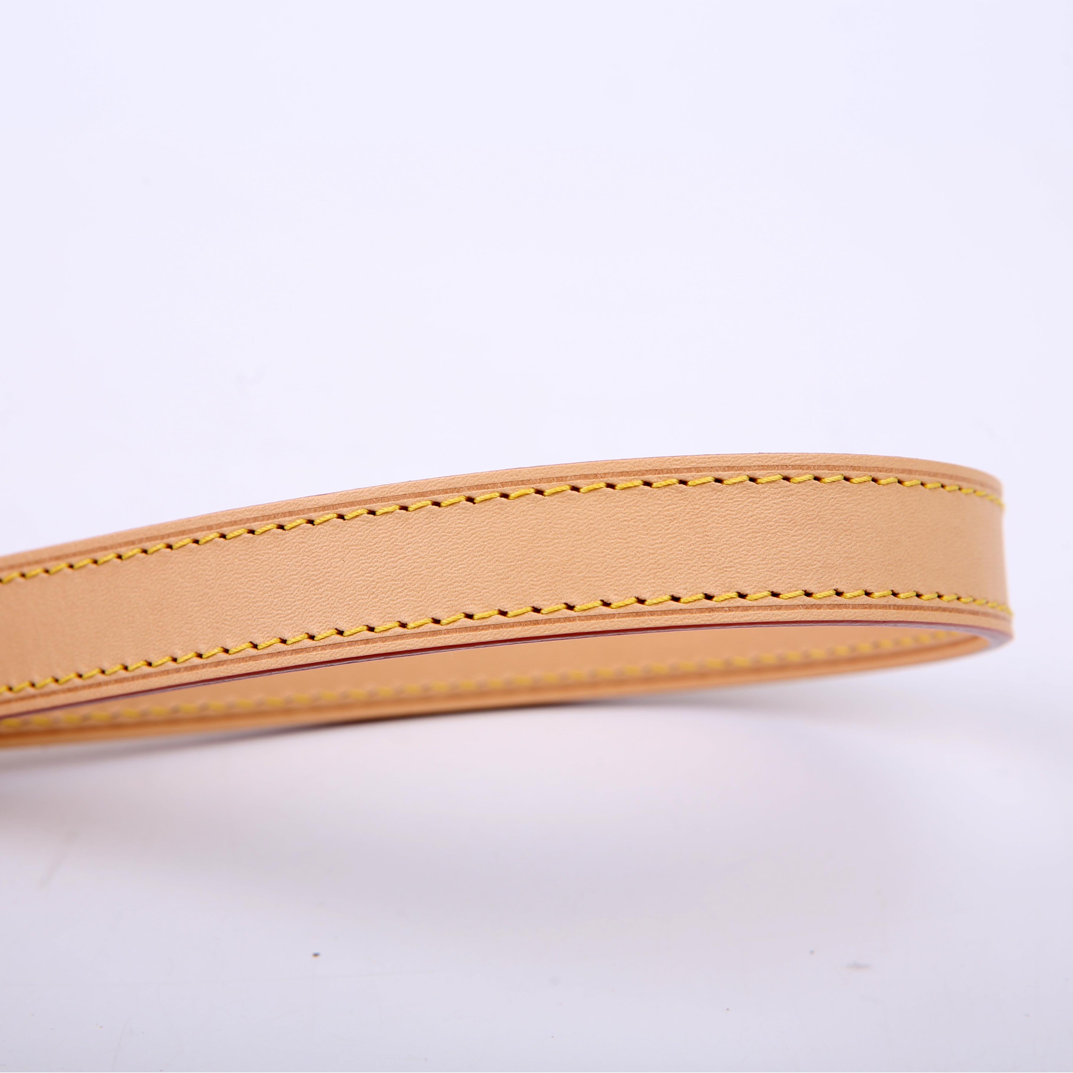 LV x TM Speedy 25 Bandouliere Multicolor