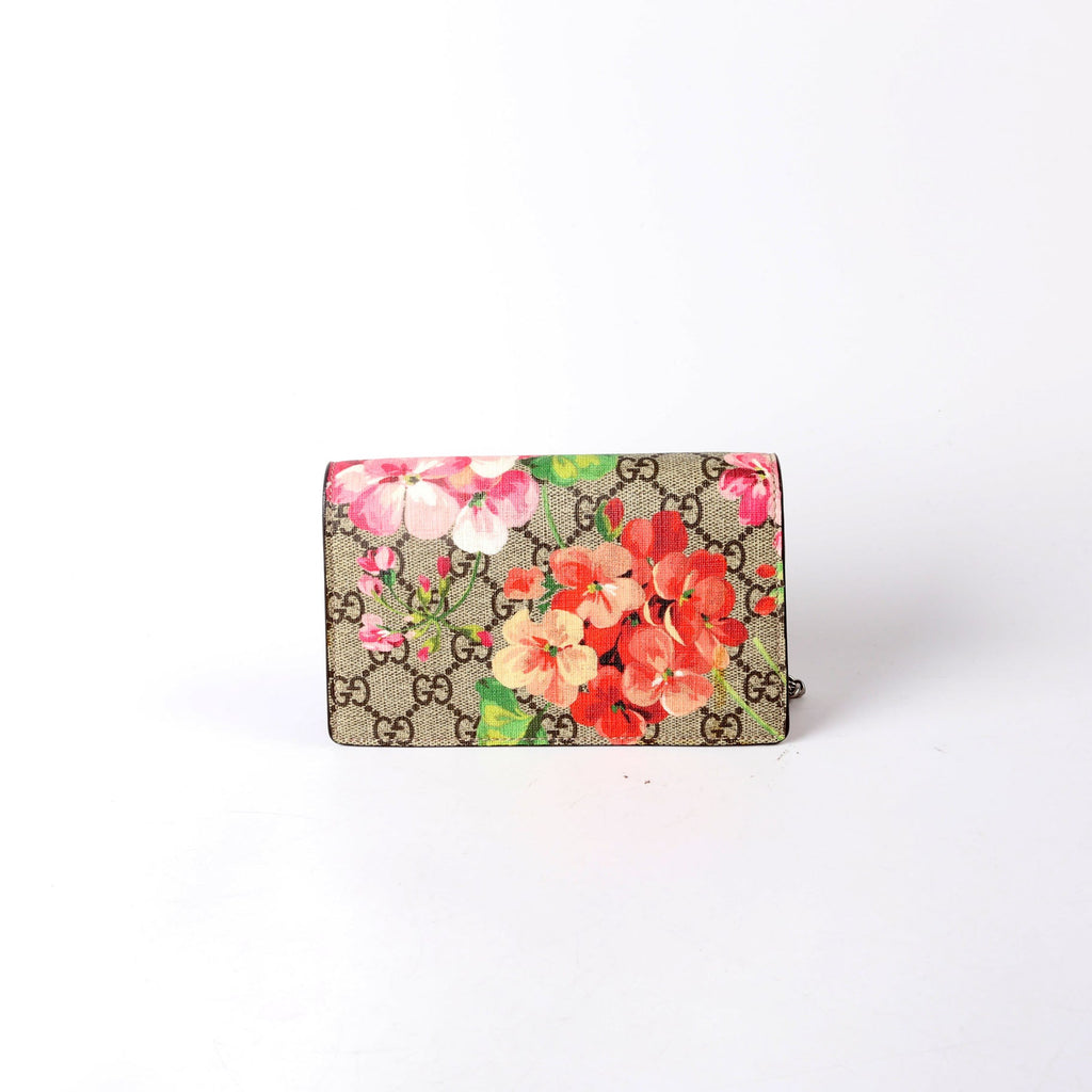 476432 Dionysus Blooms Super Mini