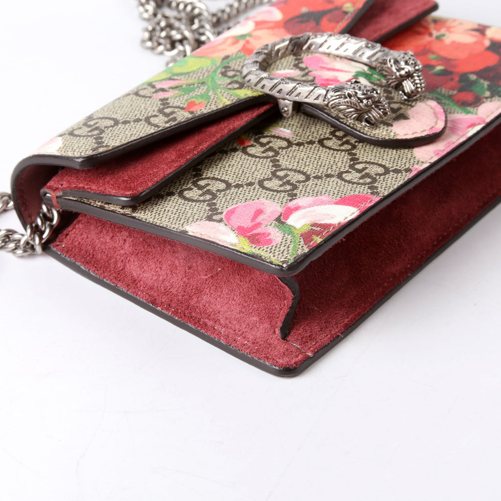 476432 Dionysus Blooms Super Mini